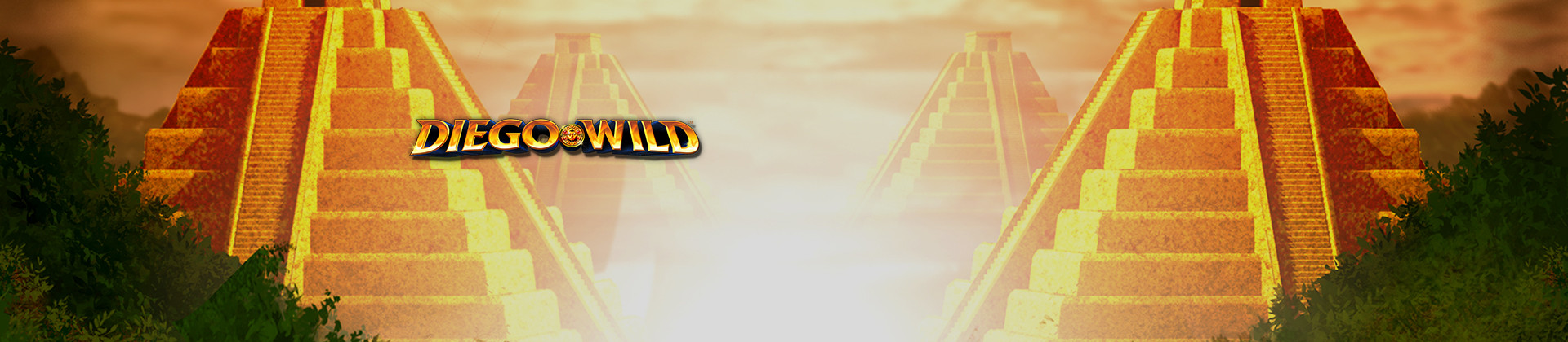 Diego Wild Slot Game - -