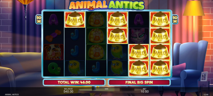 Animal Antics Sticky Wilds - -