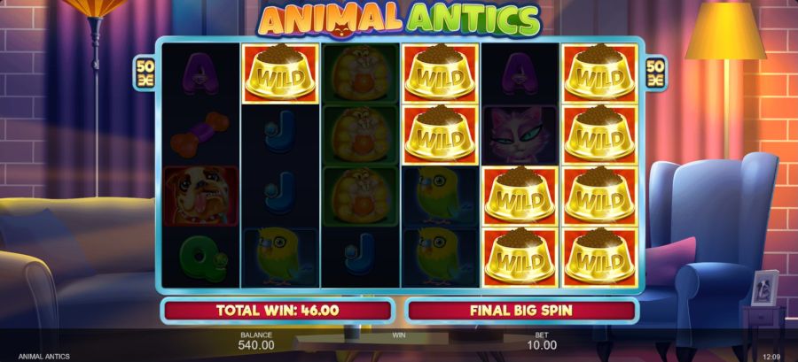 Animal Antics Sticky Wilds - -