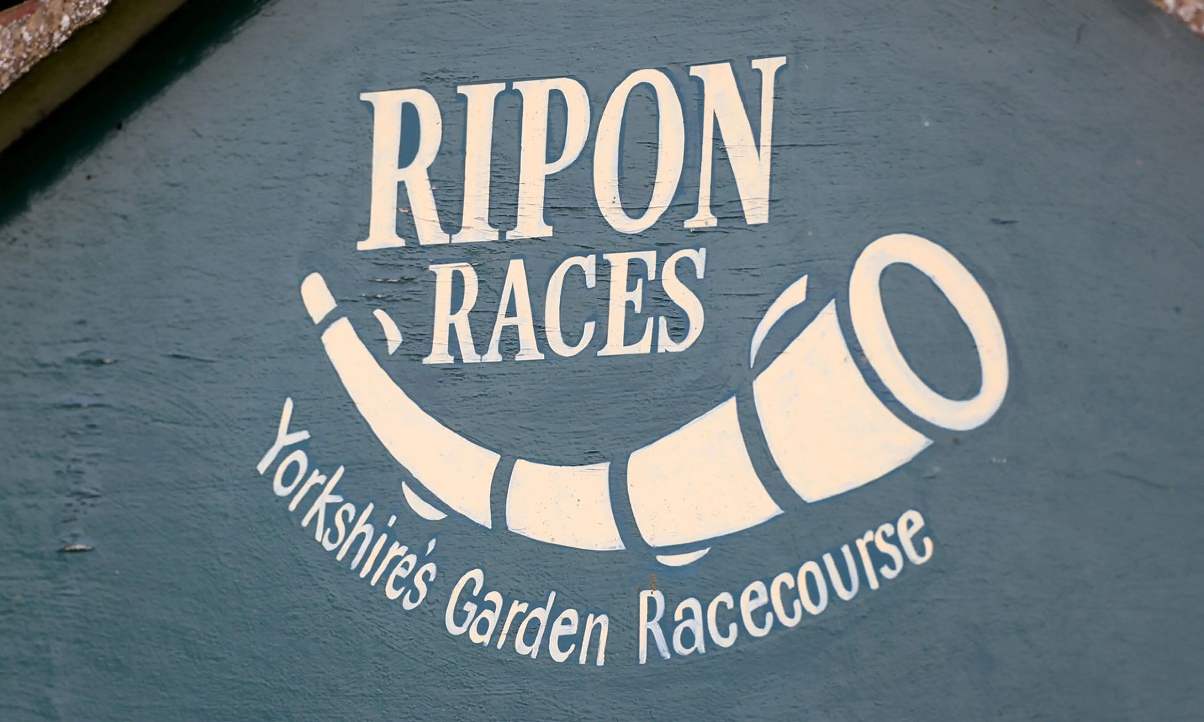 shortest-priced losers in horse racing, Ripon