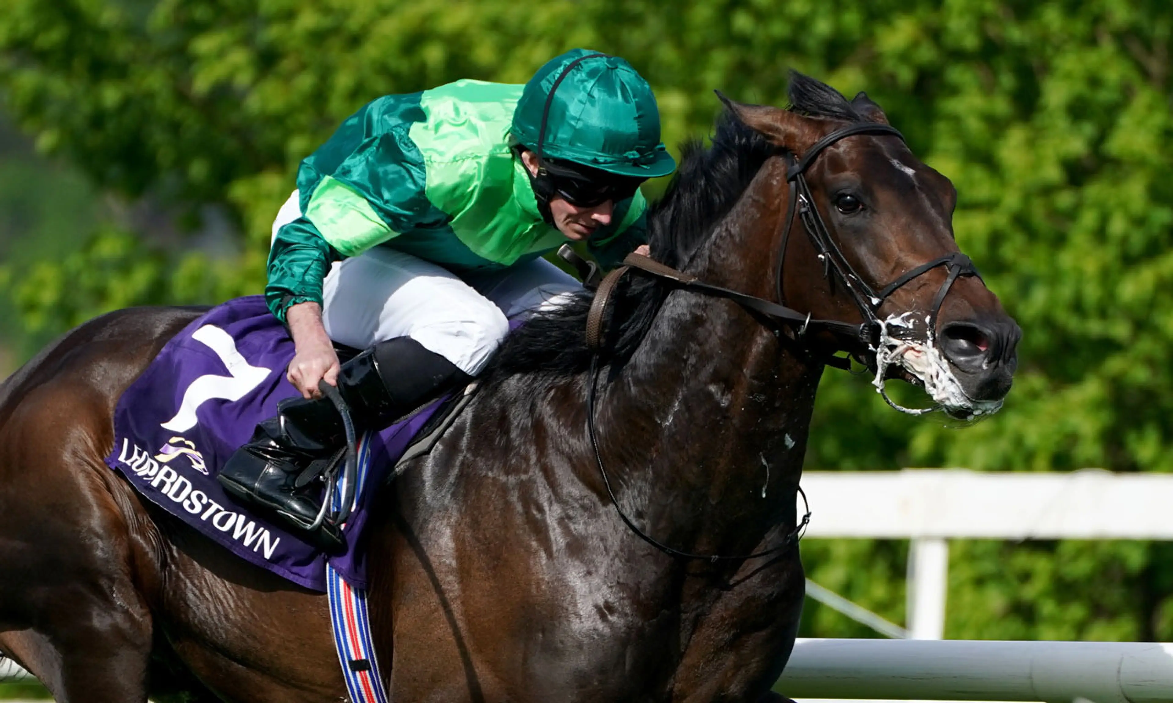 Stone Age, Coral-Eclipse, horse racing