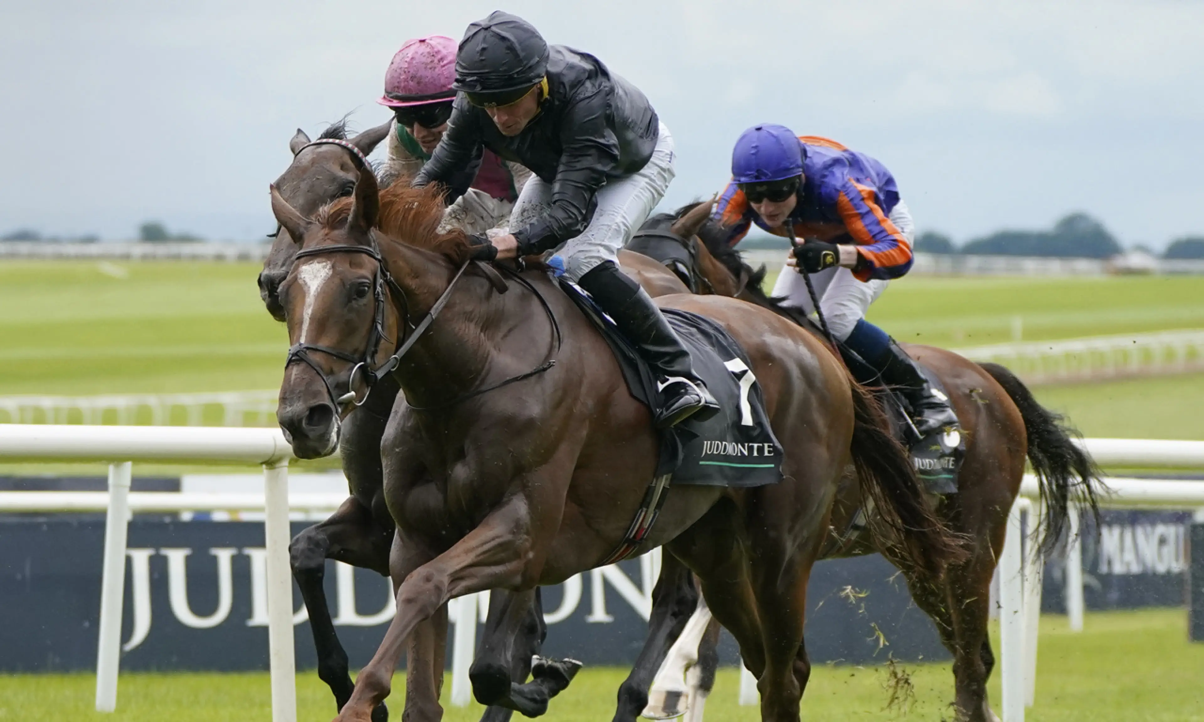Yorkshire Oaks betting odds, horse racing, Savethelastdance