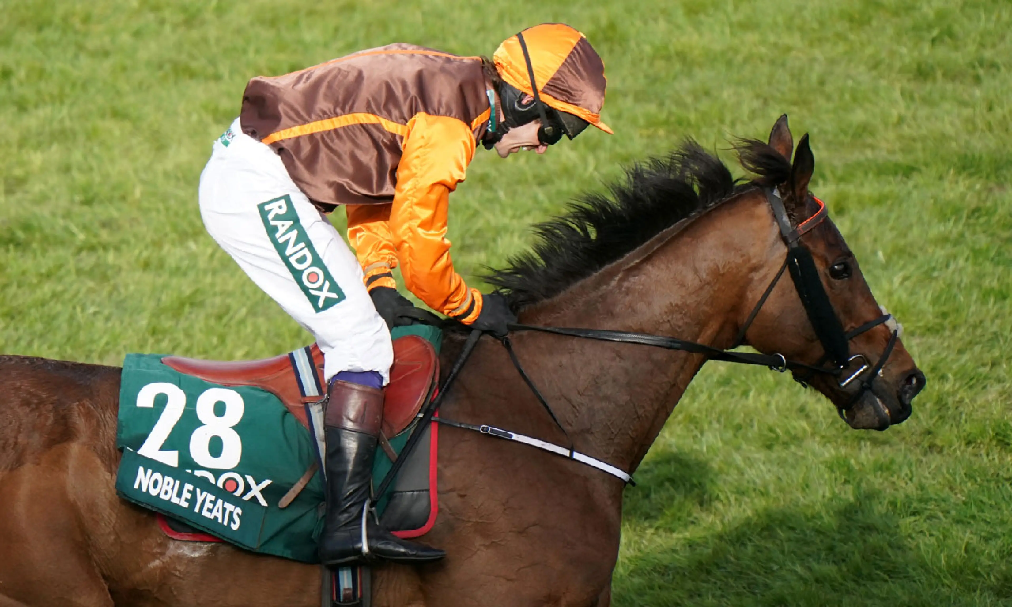 Noble Yeats, horse racing, Many Clouds Chase