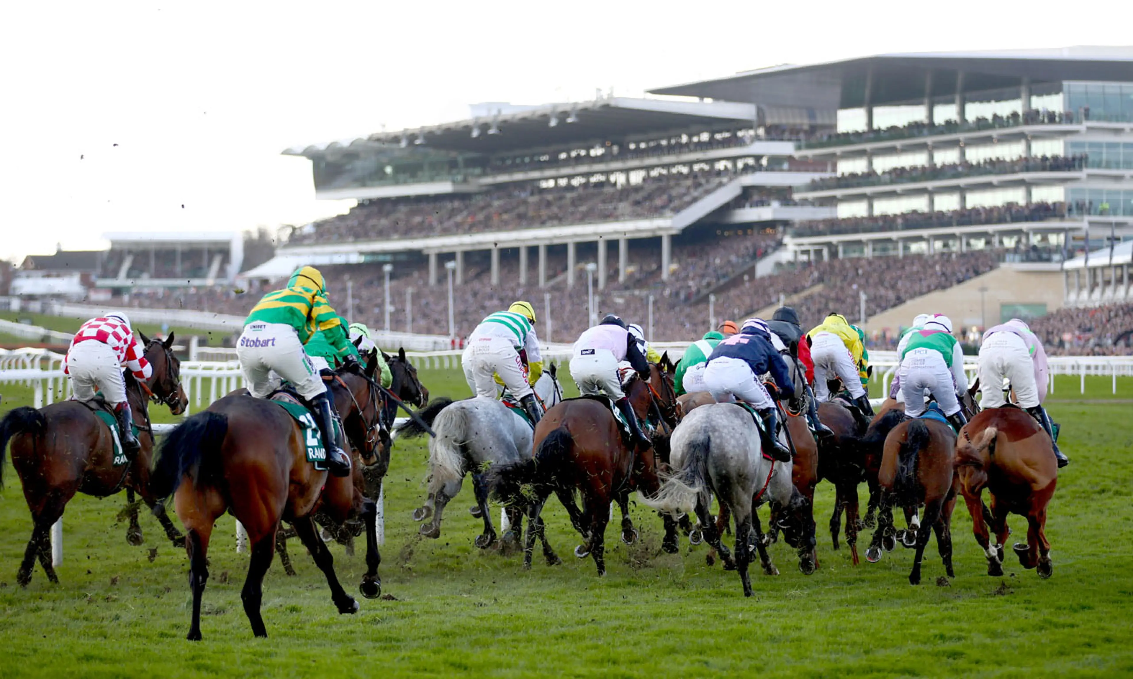 Cheltenham Festival, top horse races for betting
