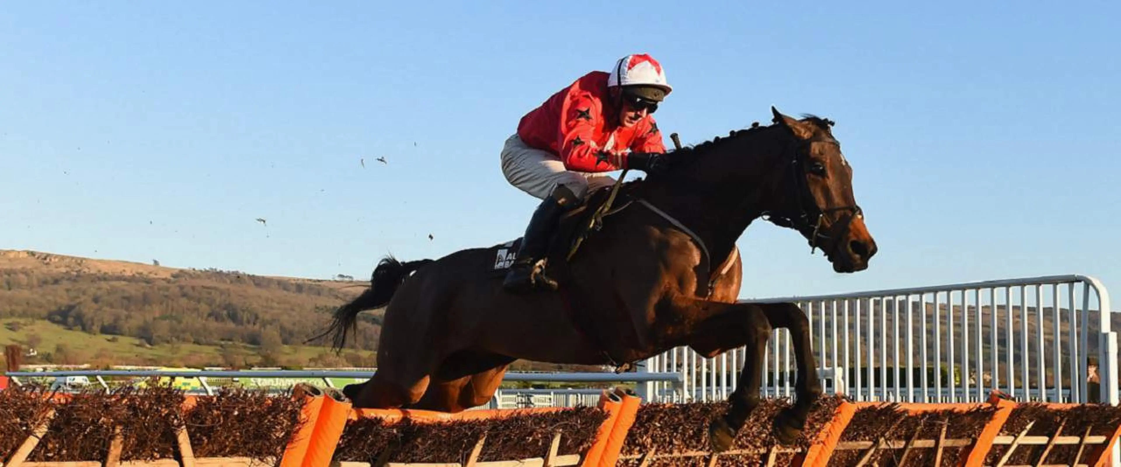 Blaklion grand national 2018