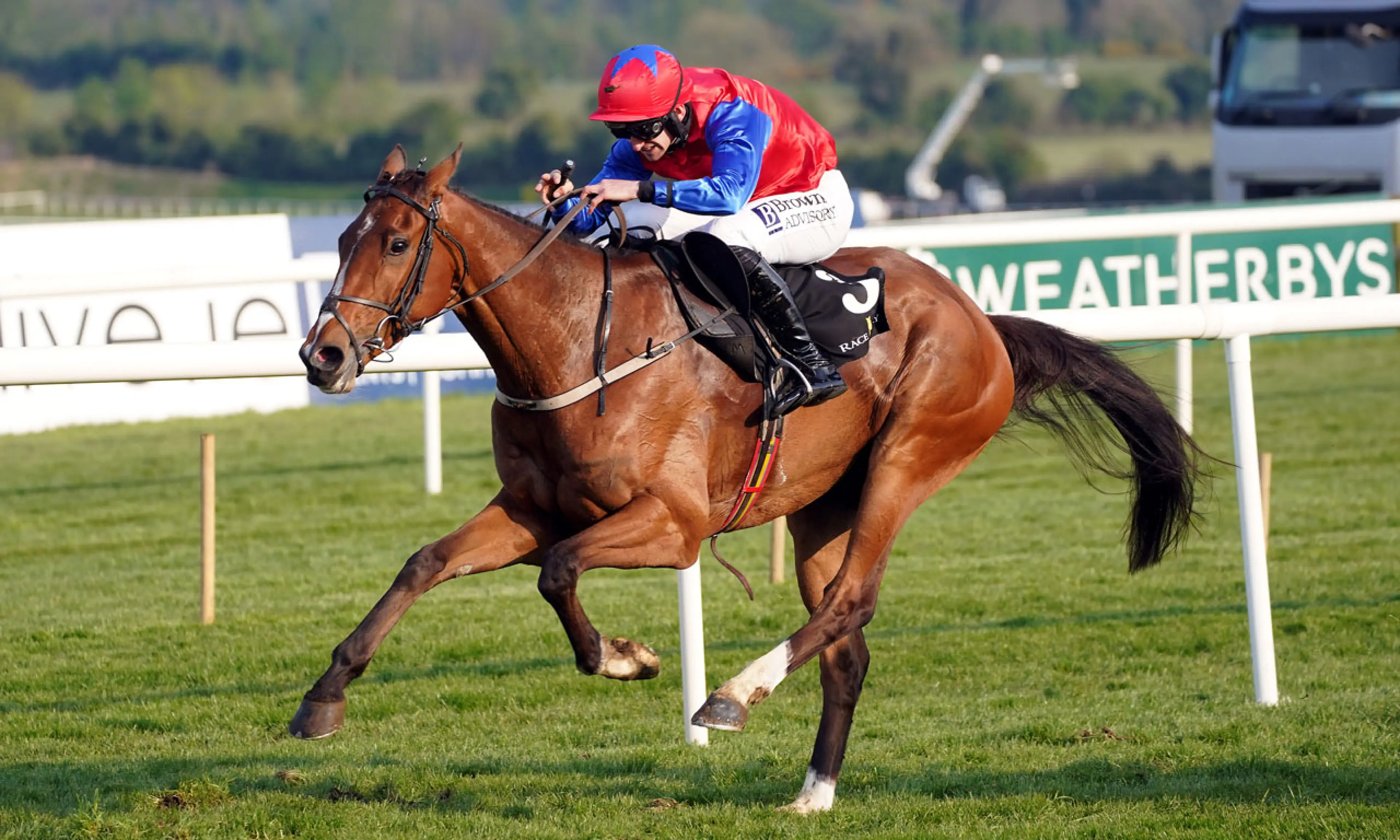 Facile Vega, Supreme Novices’ Hurdle betting odds, horse racing