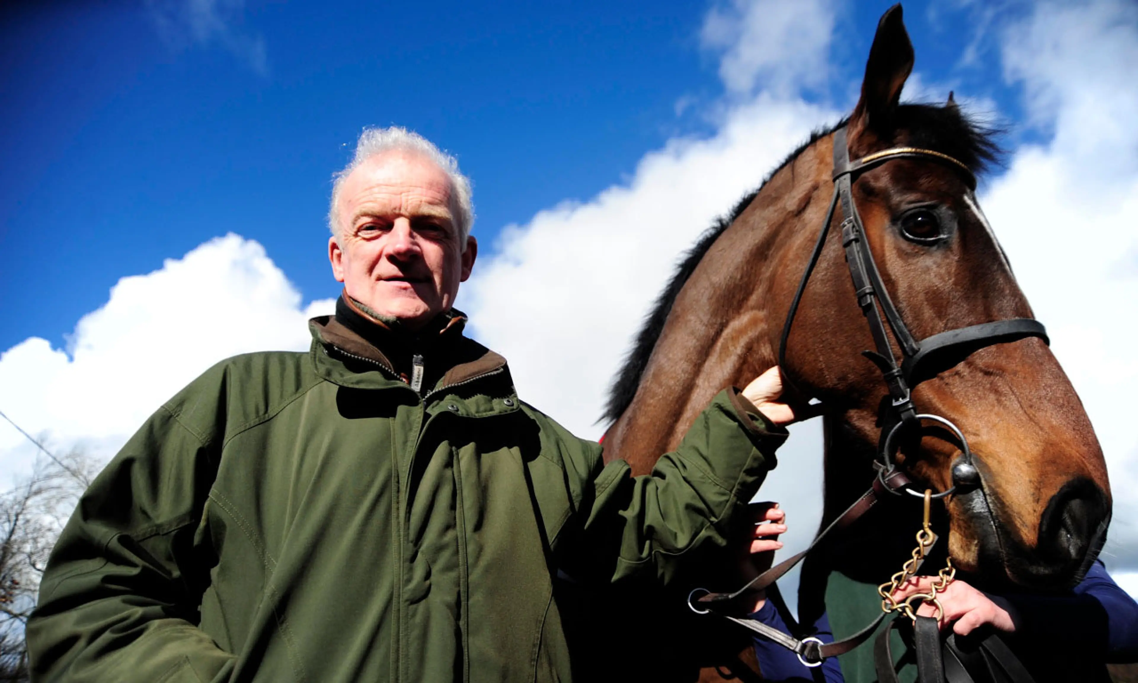 Willie Mullins horses, horse racing