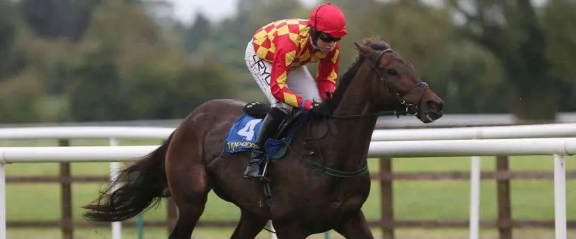 Upsanddowns odds are among Coral tipsters' proferred Perth punts for the September 5 meeting.