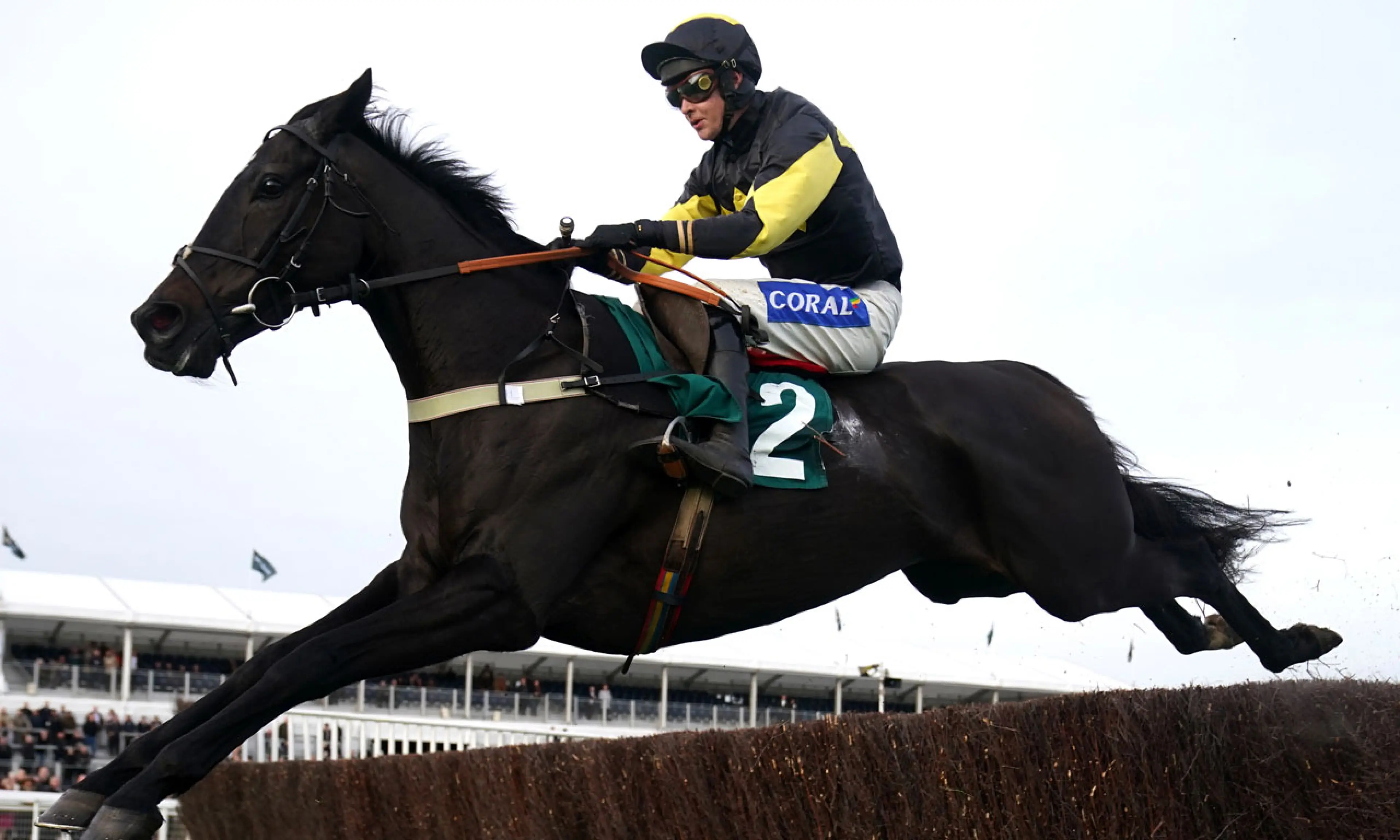 JPR One, Brendan Powell, Arkle Trophy betting, Henry VIII Novices' Chase, horse racing