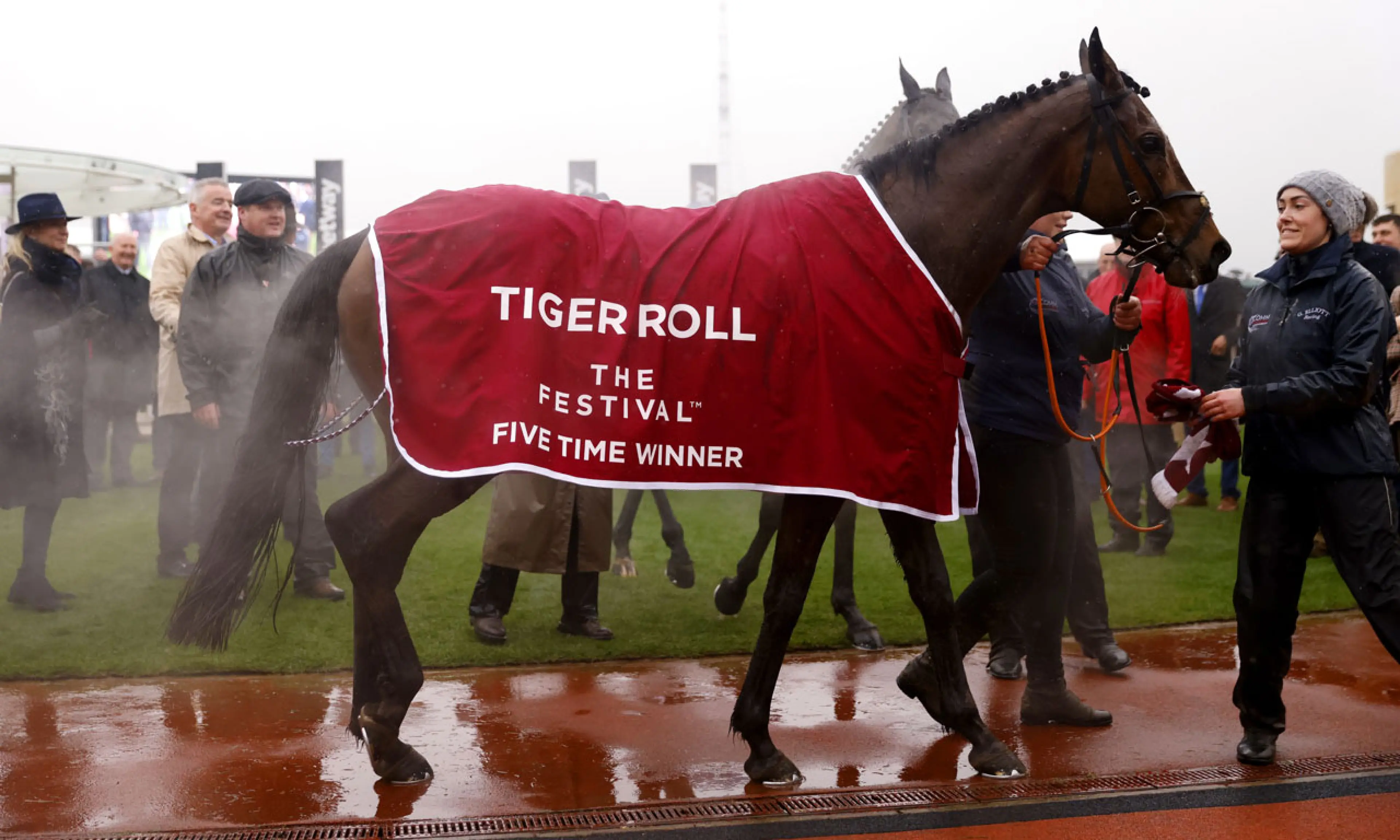 Tiger Roll wins, horse racing
