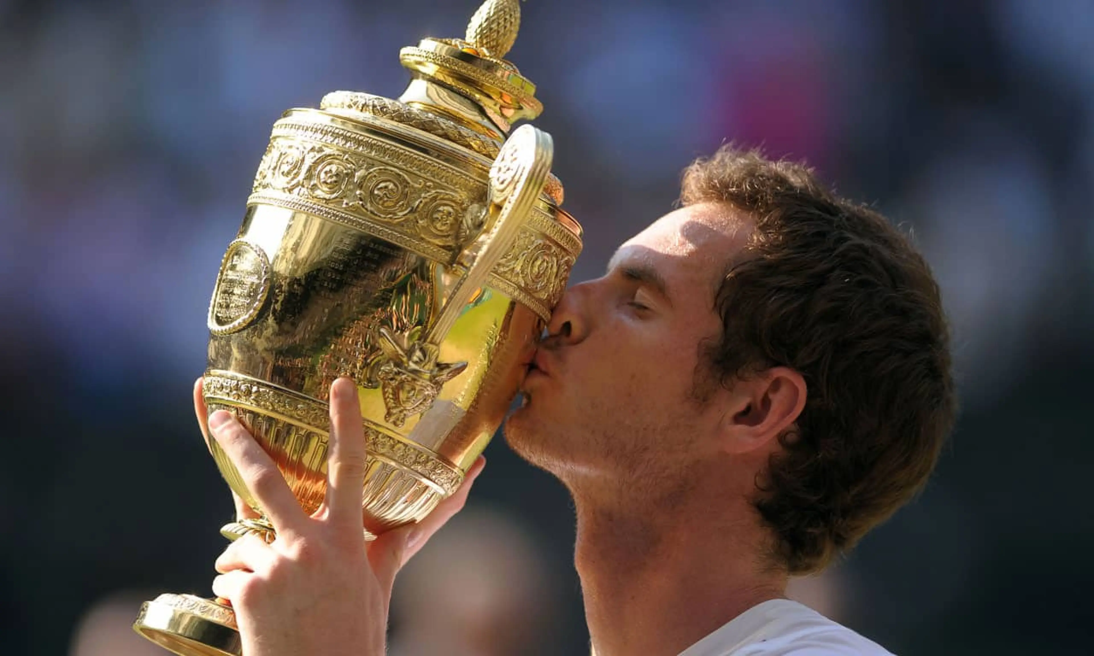 Andy Murray, Murray won Wimbledon, tennis