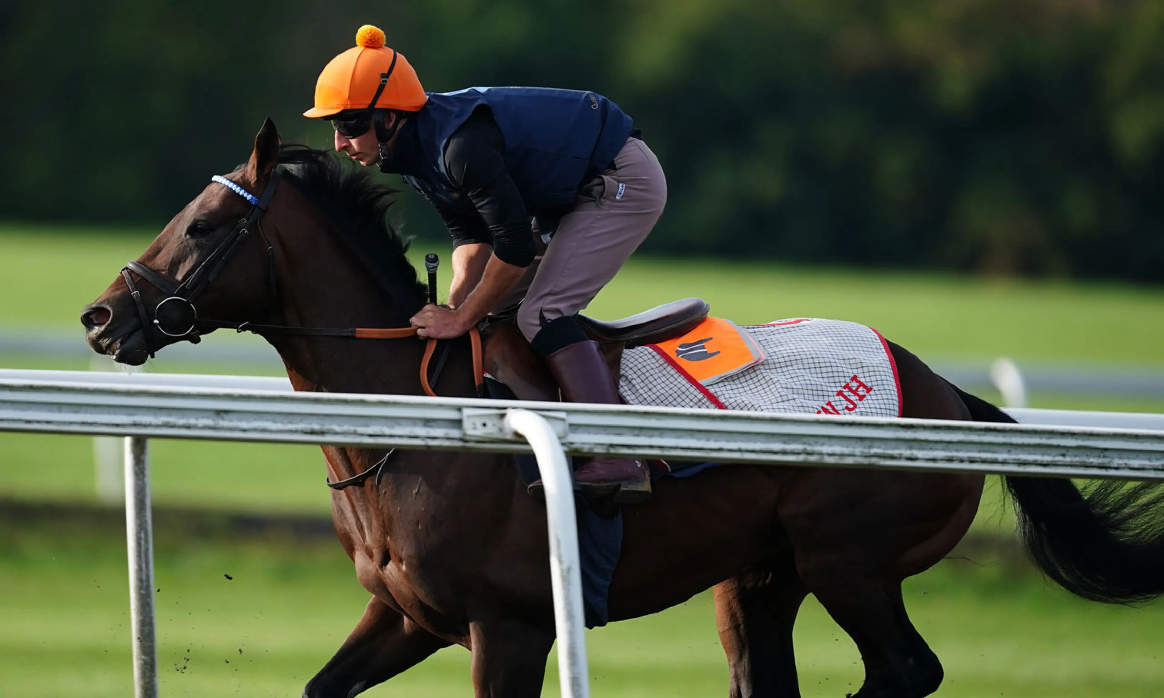 Baaeed, horse racing