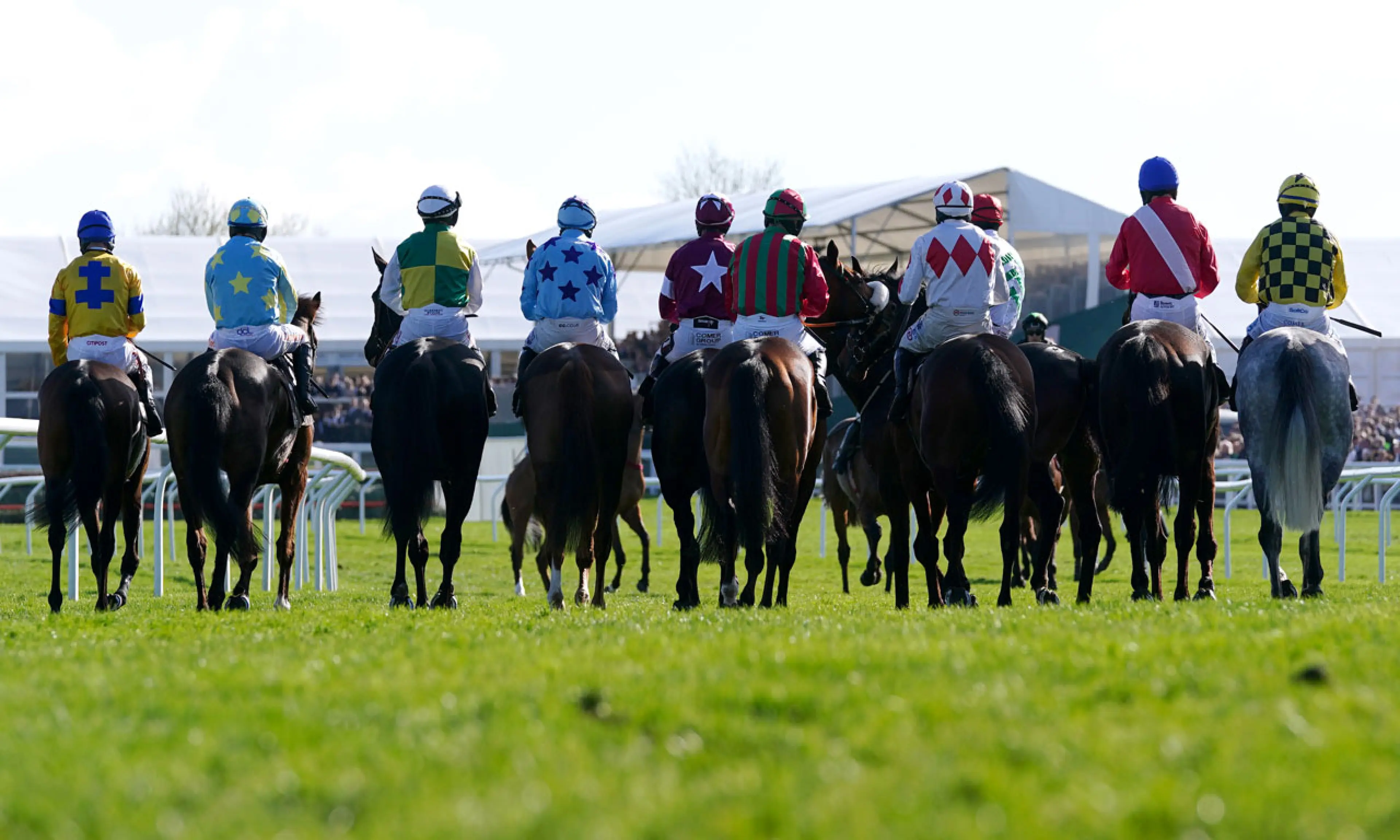 Cheltenham day 2 tips, horse racing