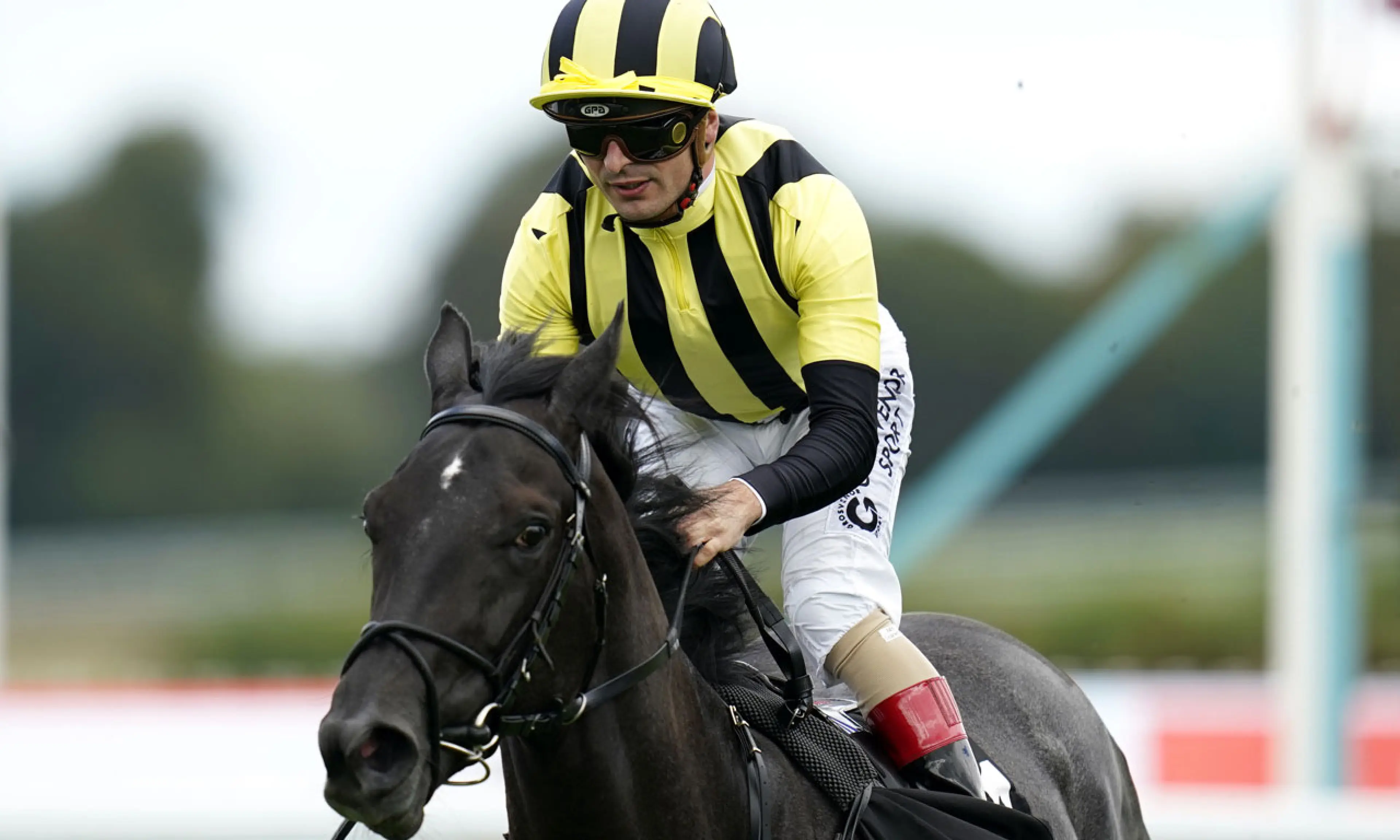 Vandeek, Middle Park Stakes, horse racing