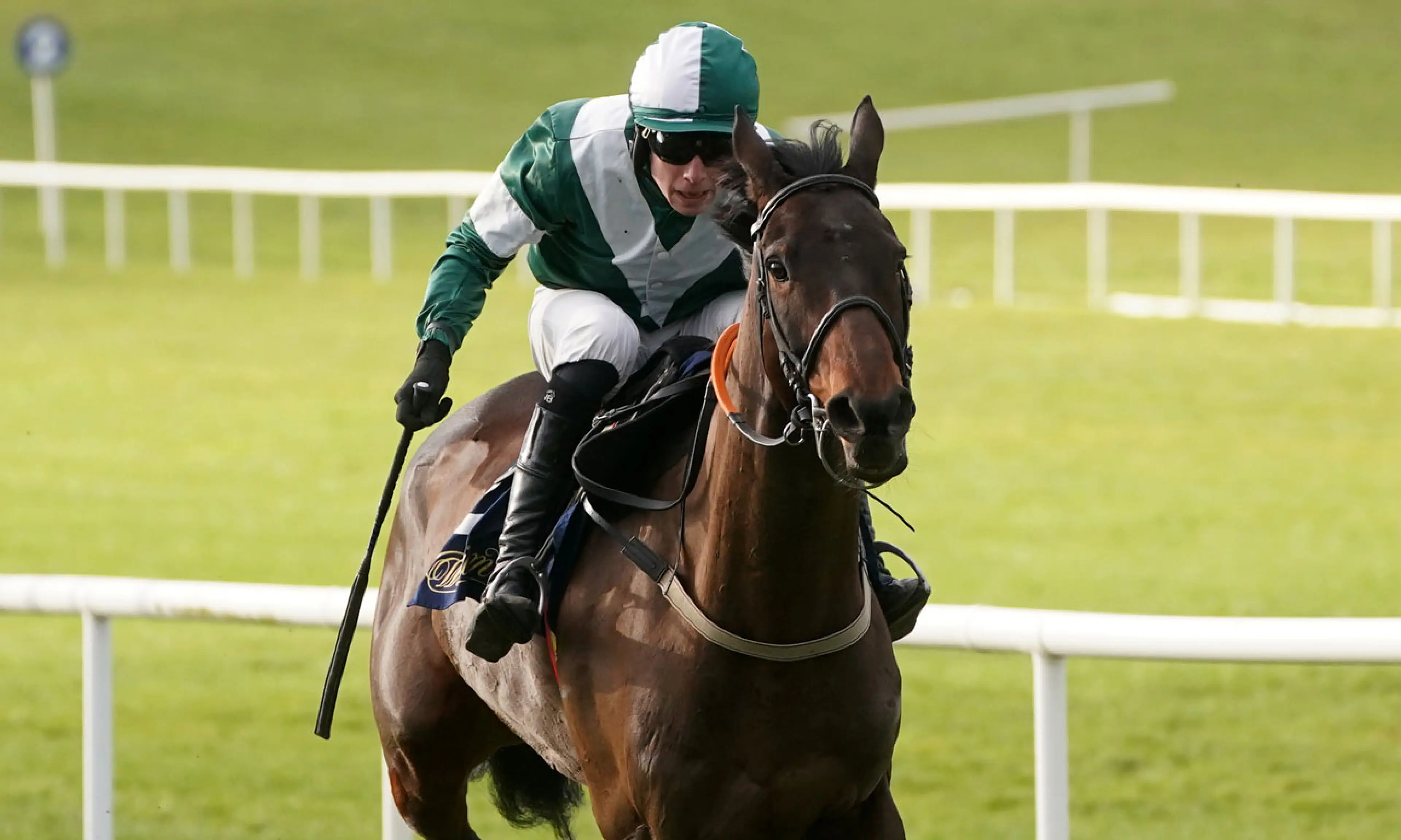 Blazing Khal, Stayers' Hurdle betting odds, horse racing