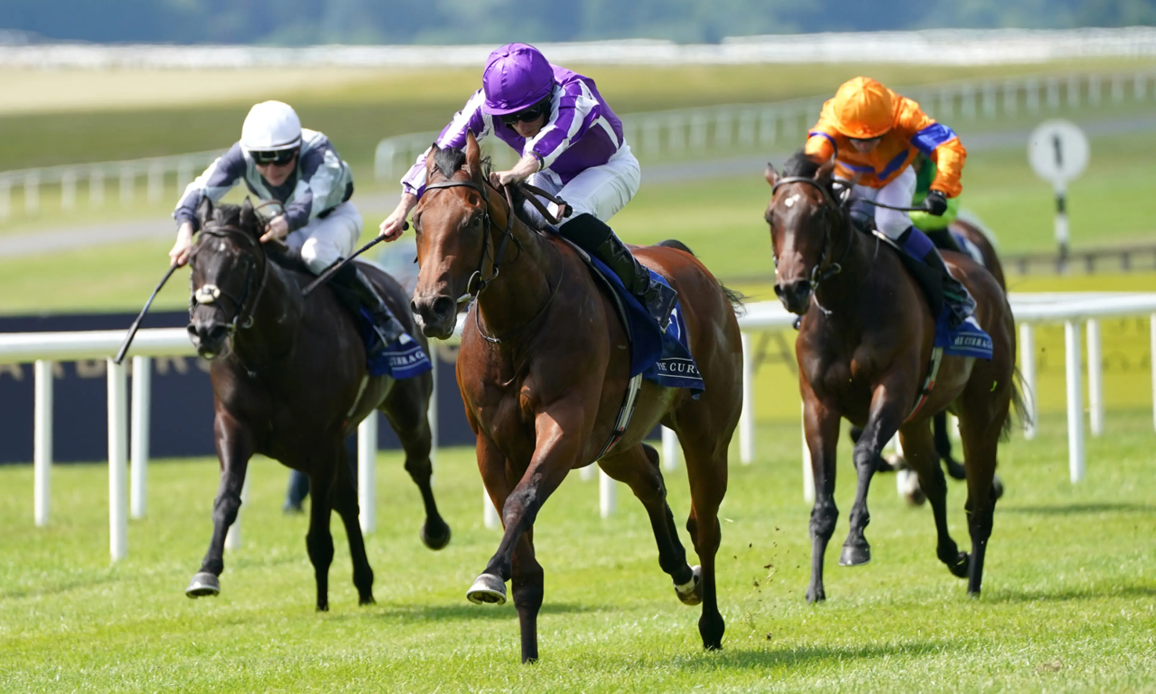Royal Ascot Friday tips, horse racing, Little Big Bear