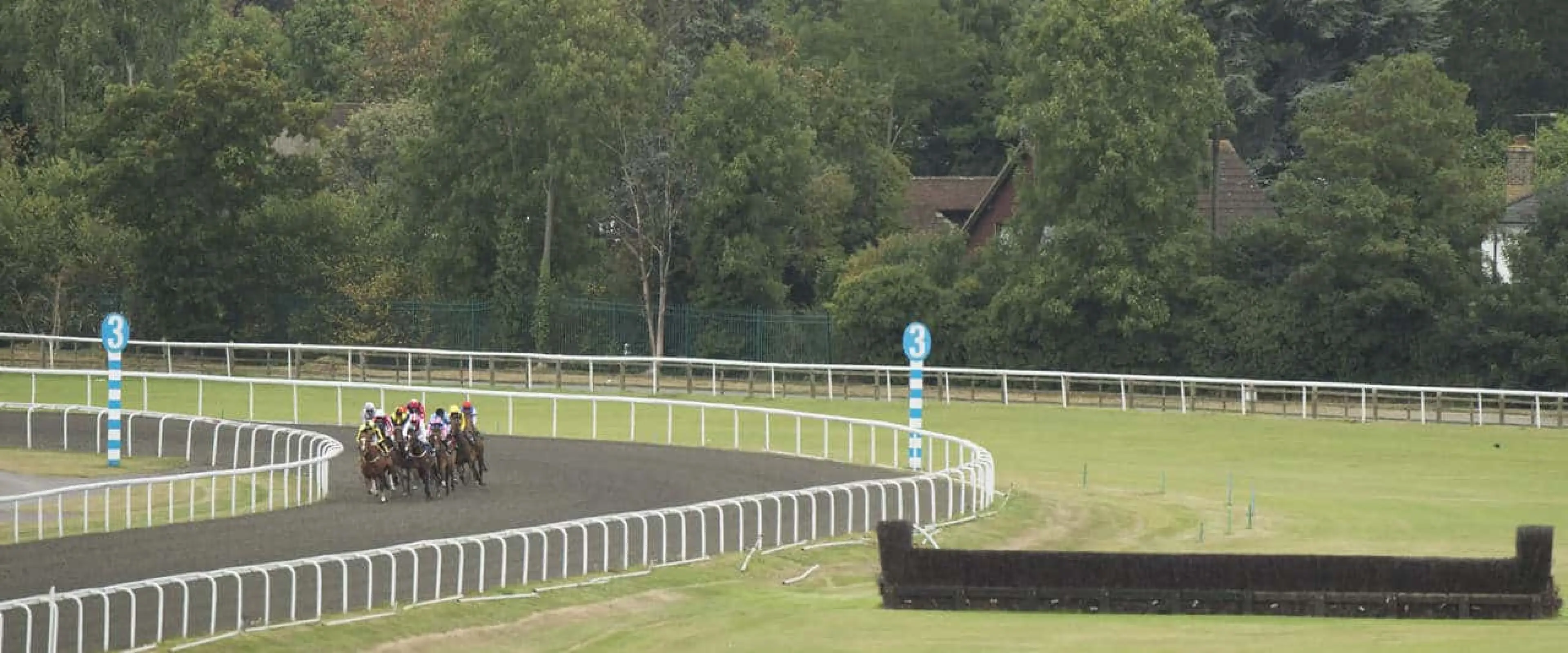 Kempton top tips November 9.