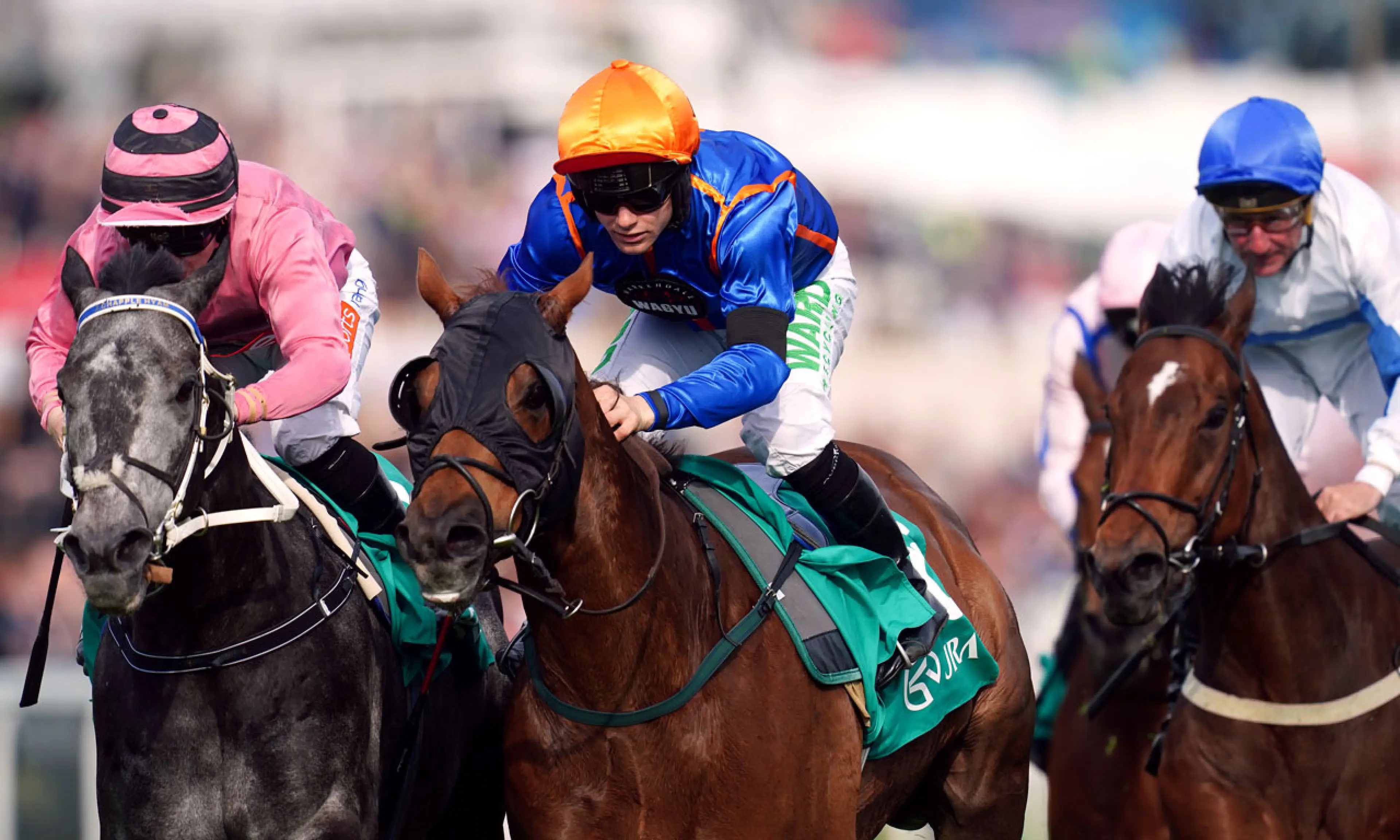 Mr Wagyu, Coral Stewards' Cup, horse racing