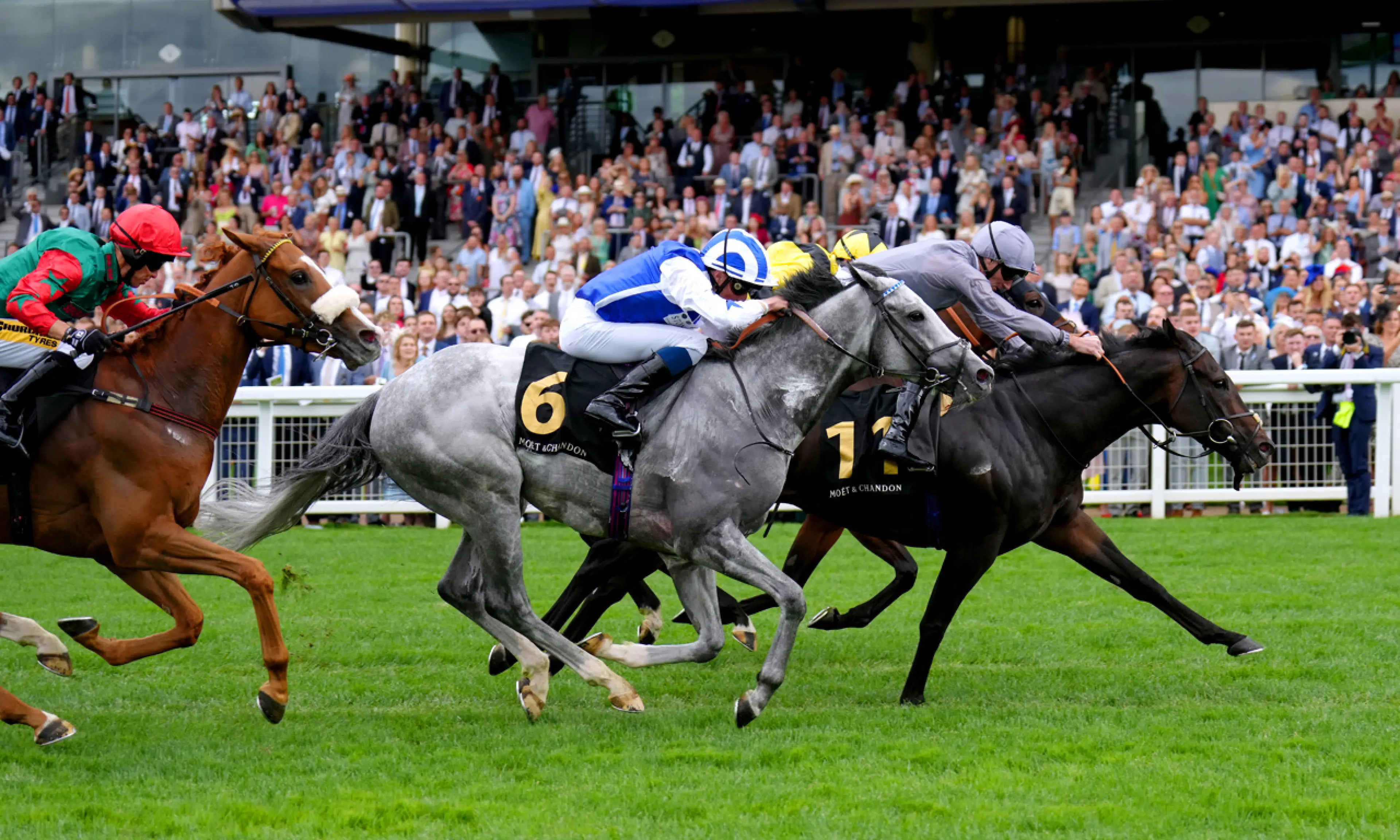 Ascot International Stakes, horse racing, Fresh