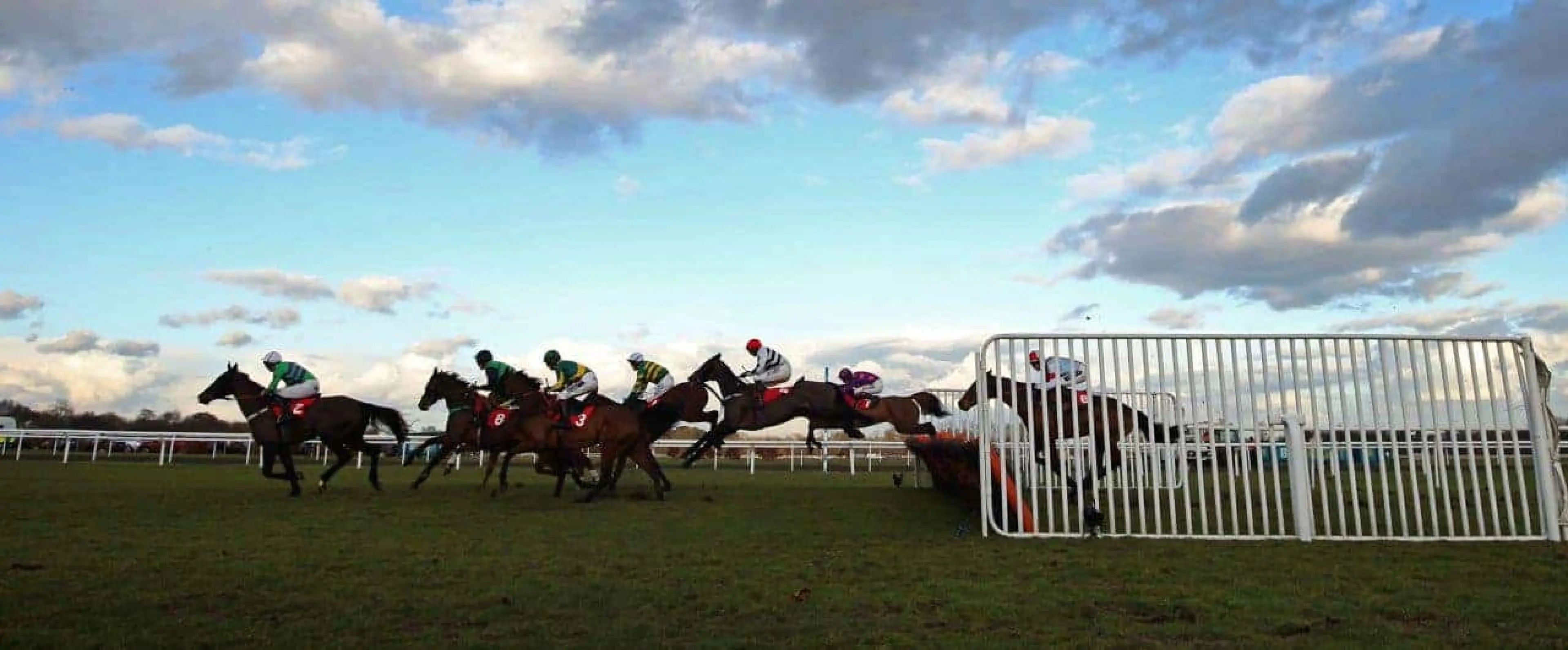 Kempton odds