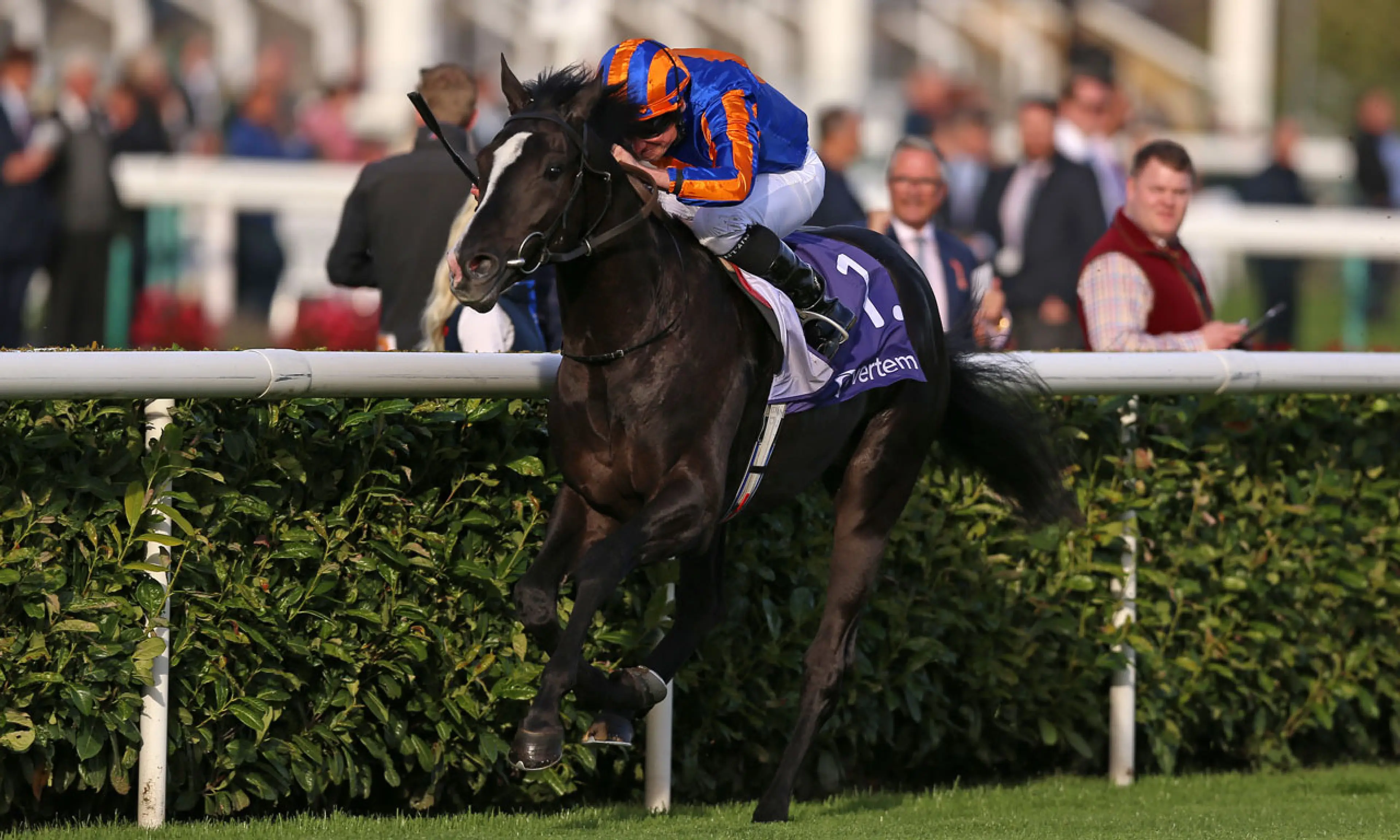 Auguste Rodin, Epsom Derby betting tips, horse racing