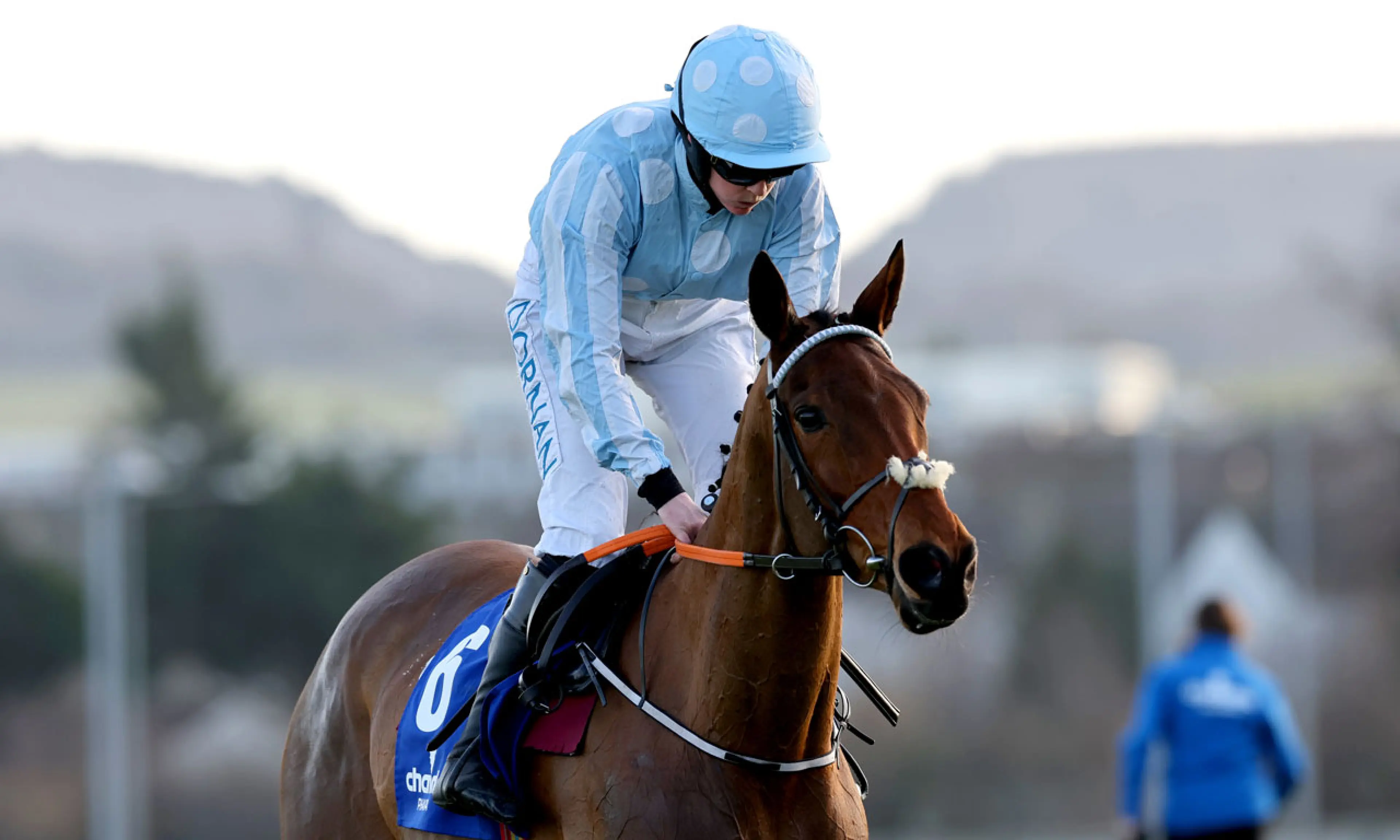 Honeysuckle, Cheltenham Festival, Mares' Hurdle betting odds