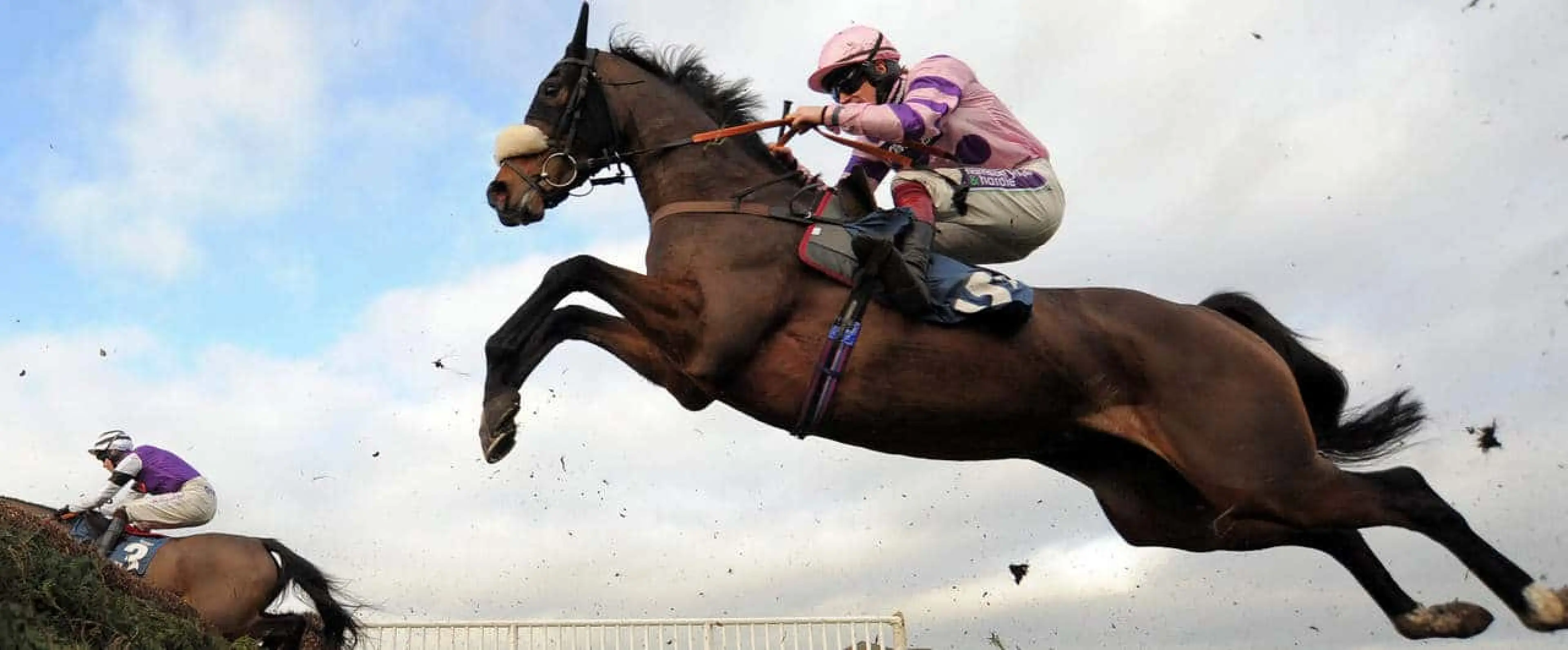 Bouvreuil each-way is among Caspian Caviar Gold Cup tips offered by Coral experts for the International meeting at Cheltenham.