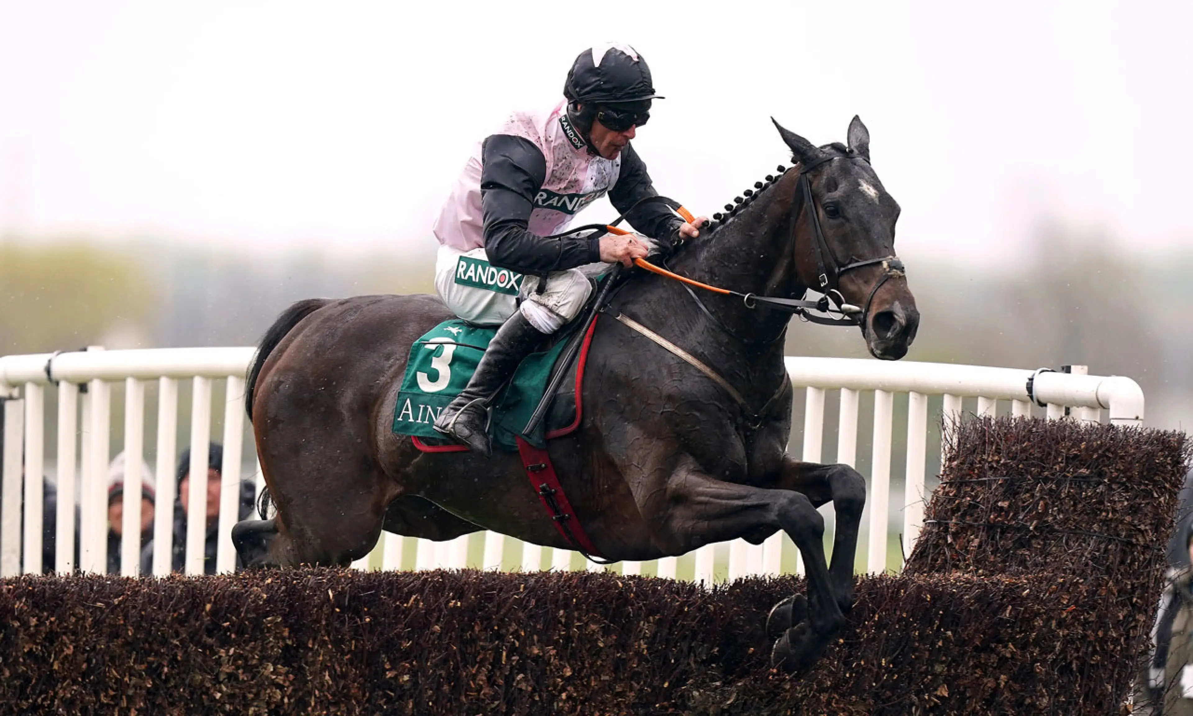 Gerri Colombe, Cheltenham Gold Cup 2024 odds, horse racing