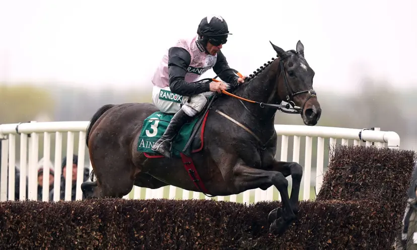 Gerri Colombe, Cheltenham Gold Cup 2024 odds, horse racing