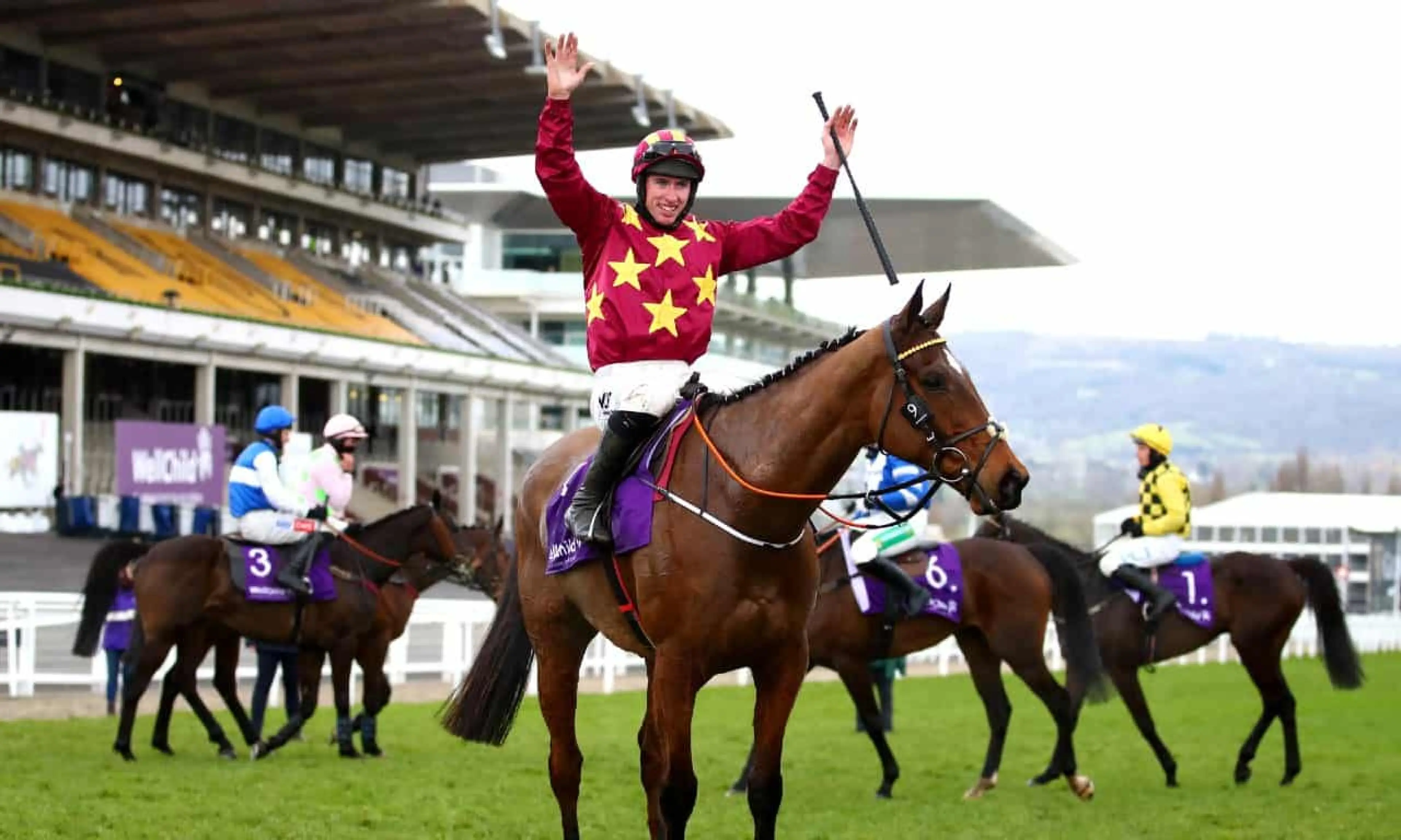 Minella Indo, How to bet on the Cheltenham Gold Cup