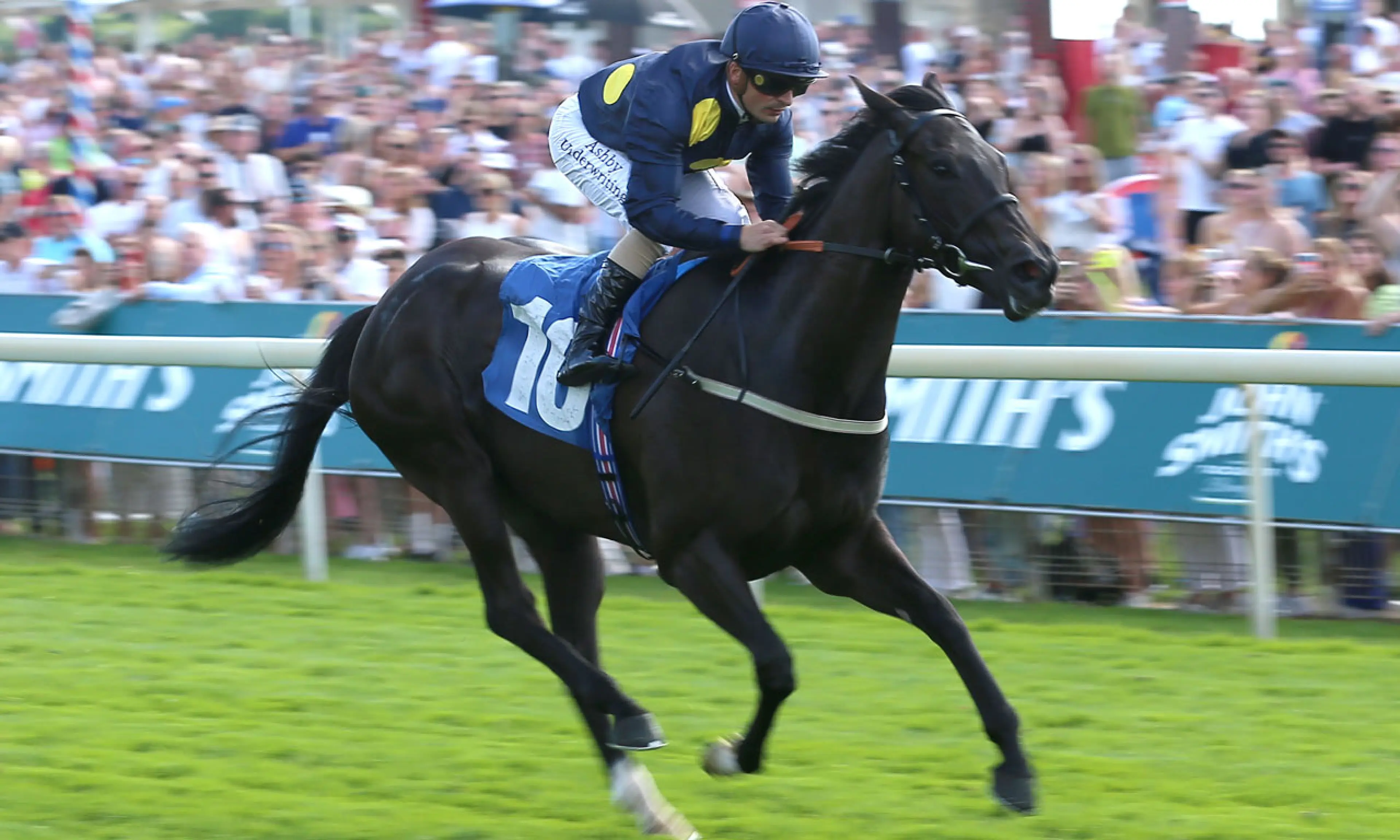 Royal Aclaim, Nunthorpe Stakes, Ebor Festival 2022, horse racing