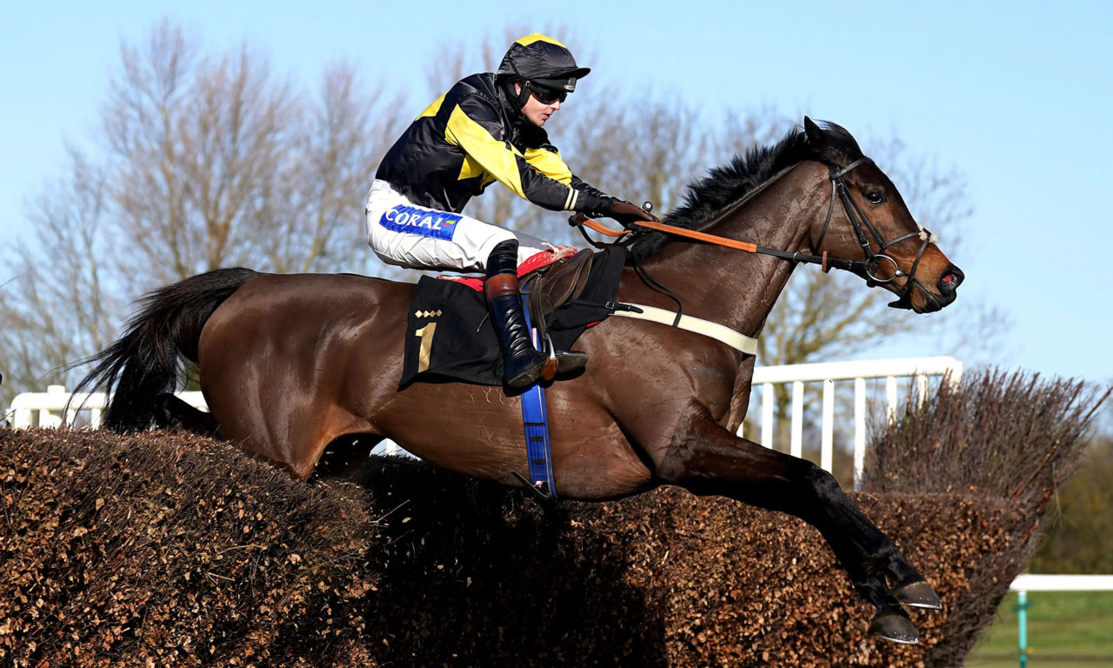 Shirocco’s Dream, Brendan Powell, Joe Tizzard, horse racing