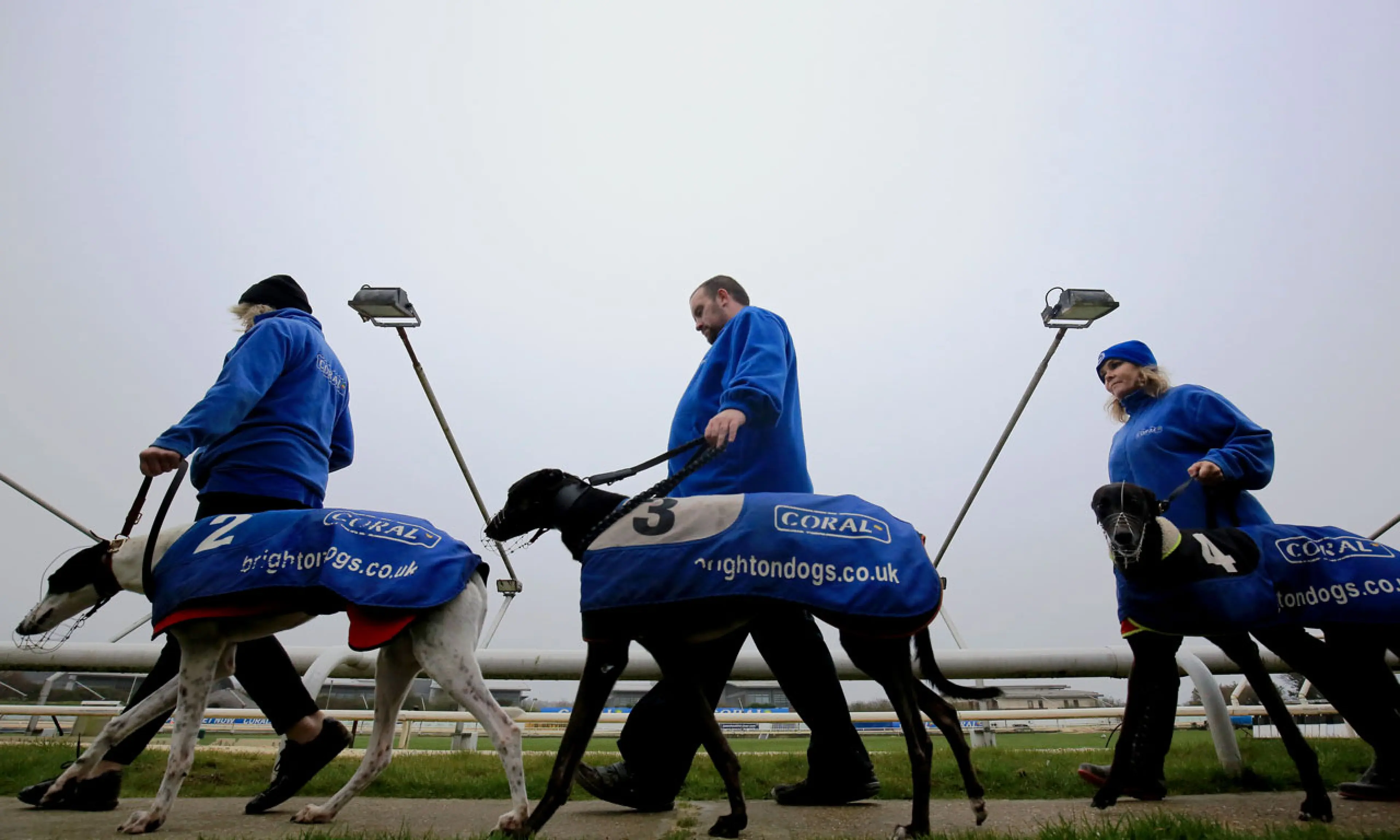 Premier Greyhound Racing Regency, Hove