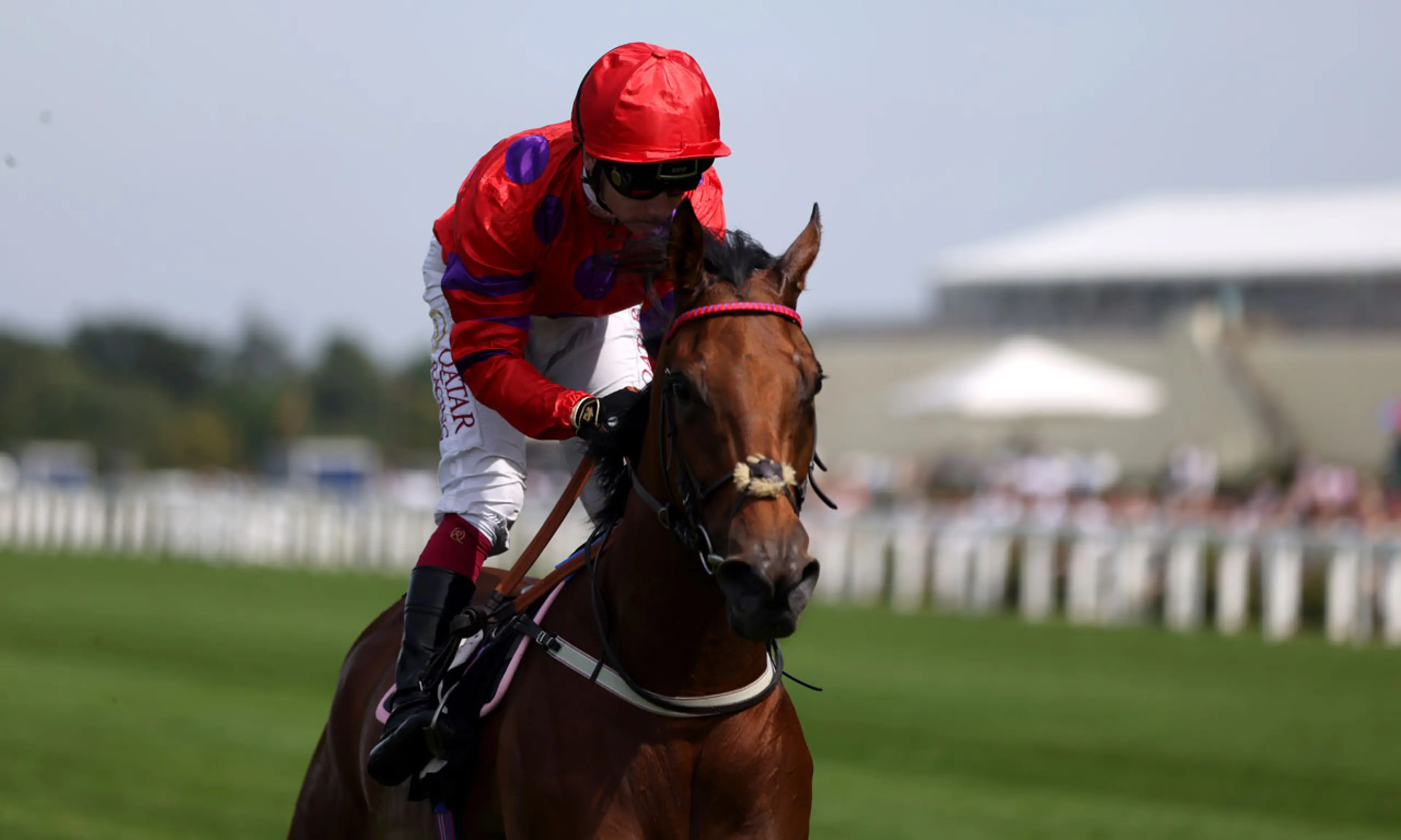 Dreamloper, Glorious Goodwood, horse racing