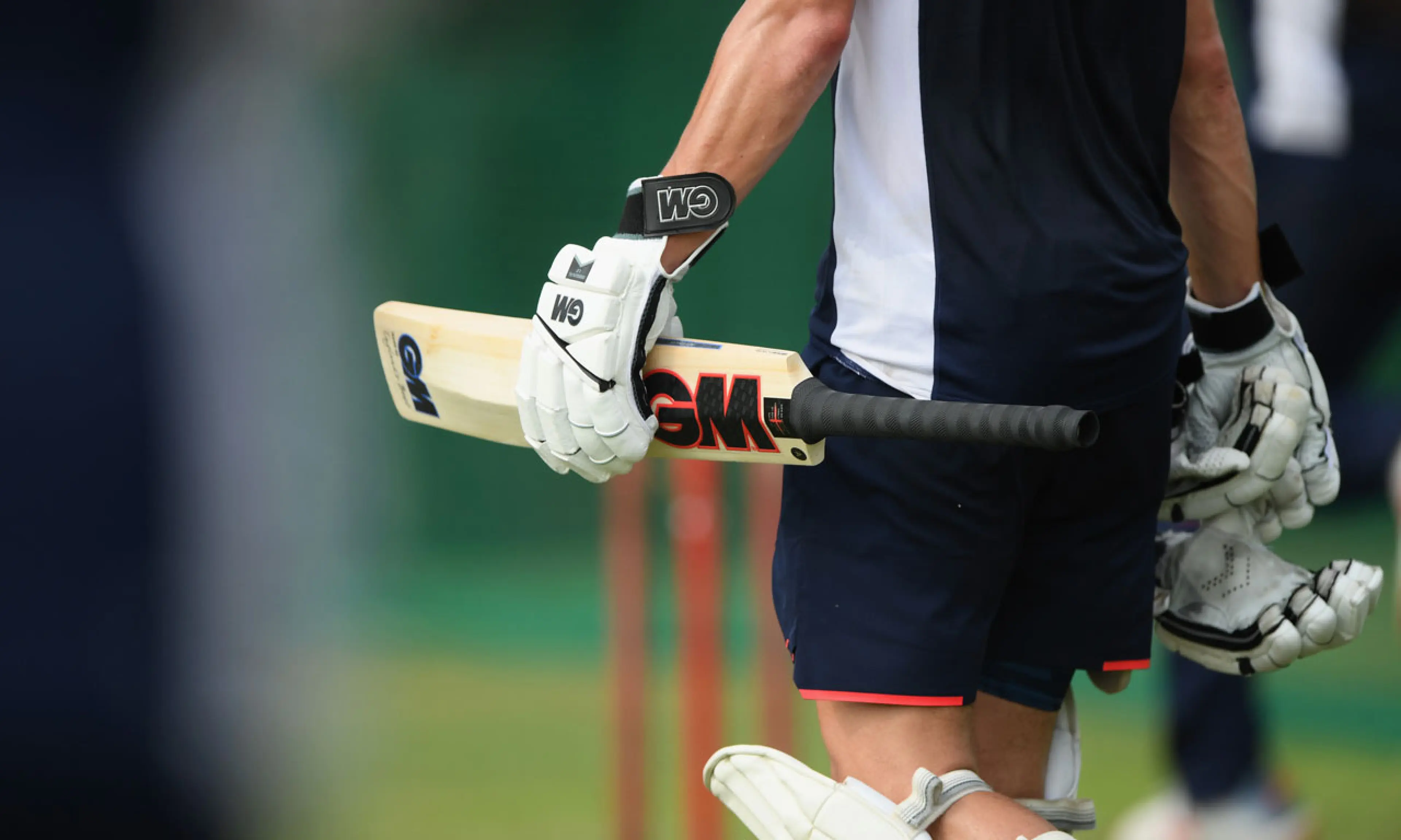 cricket bat