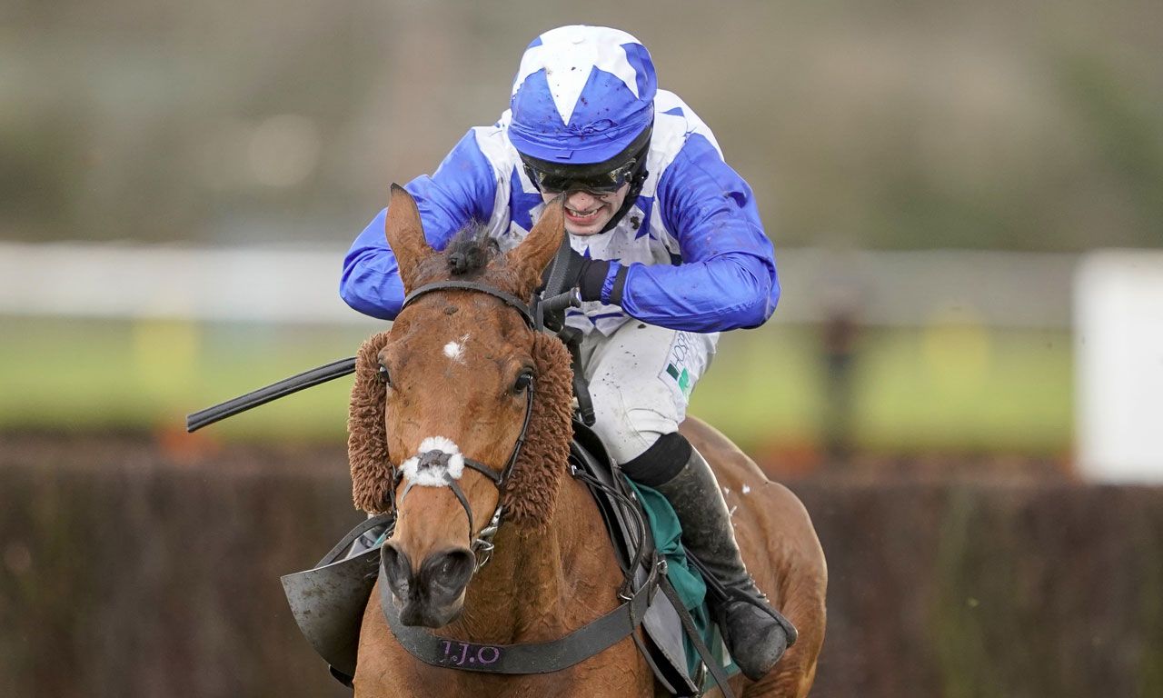 How to buy a racehorse – Coral Racing Club guide