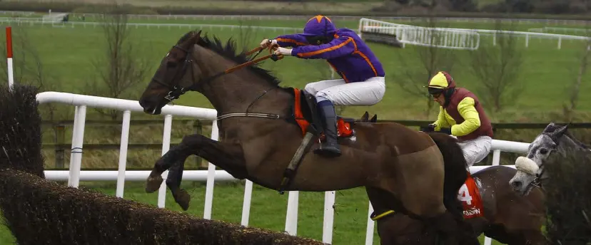 Soll (Emmet Mullins) during the Punchestown Hospitality Beginners Chase Punchestown Photo: Patrick McCann 31.12.2011
