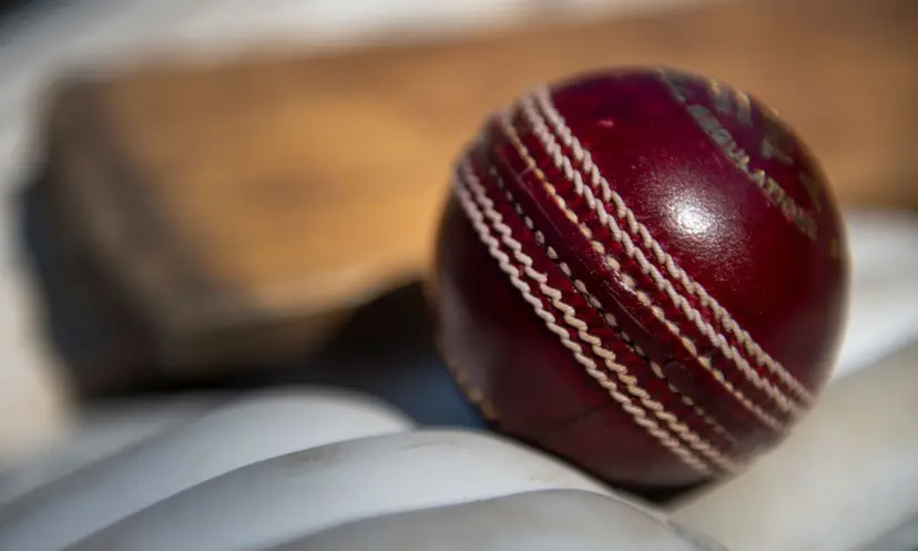 Andrew Flintoff, cricket