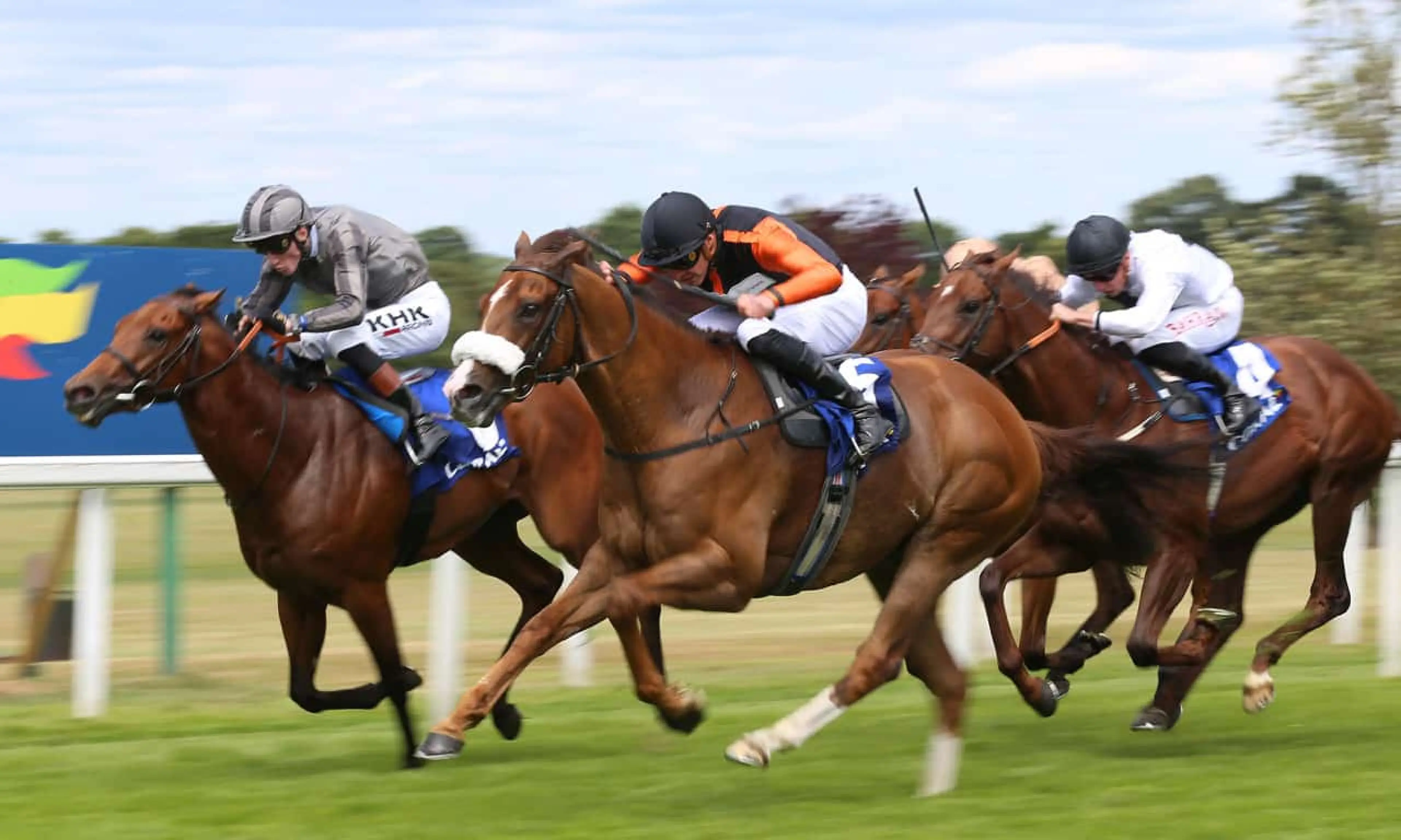 Raasel, Nunthorpe Stakes, Ebor Festival 2022, horse racing