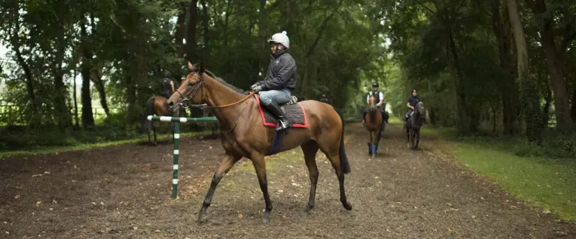 Arabian Queen features among Coral's Yarmouth top tips for September 14.