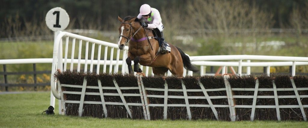 Post Defection Ante post backers hit by Faugheen and Min double defection