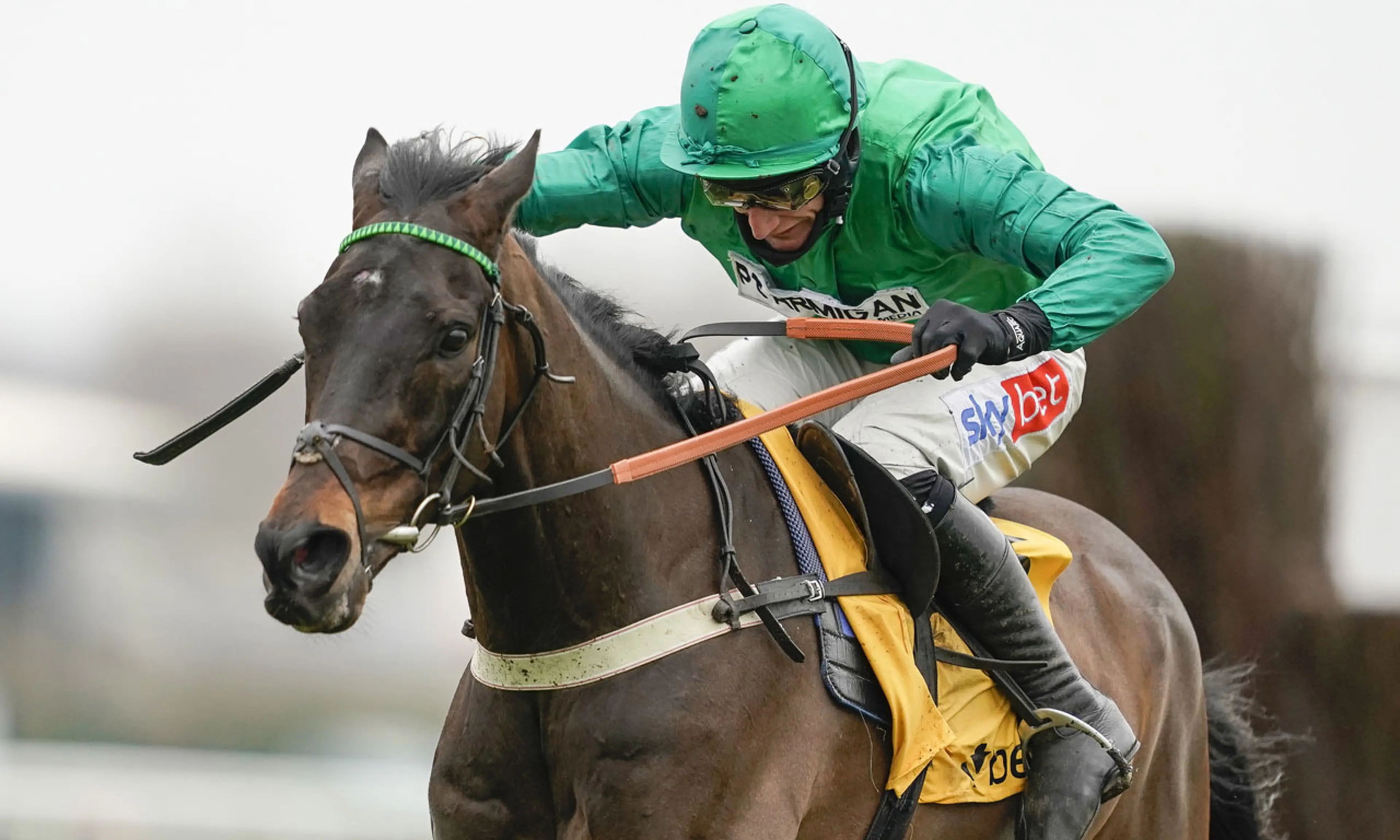 Sceau Royal, Unibet Elite Hurdle betting, horse racing