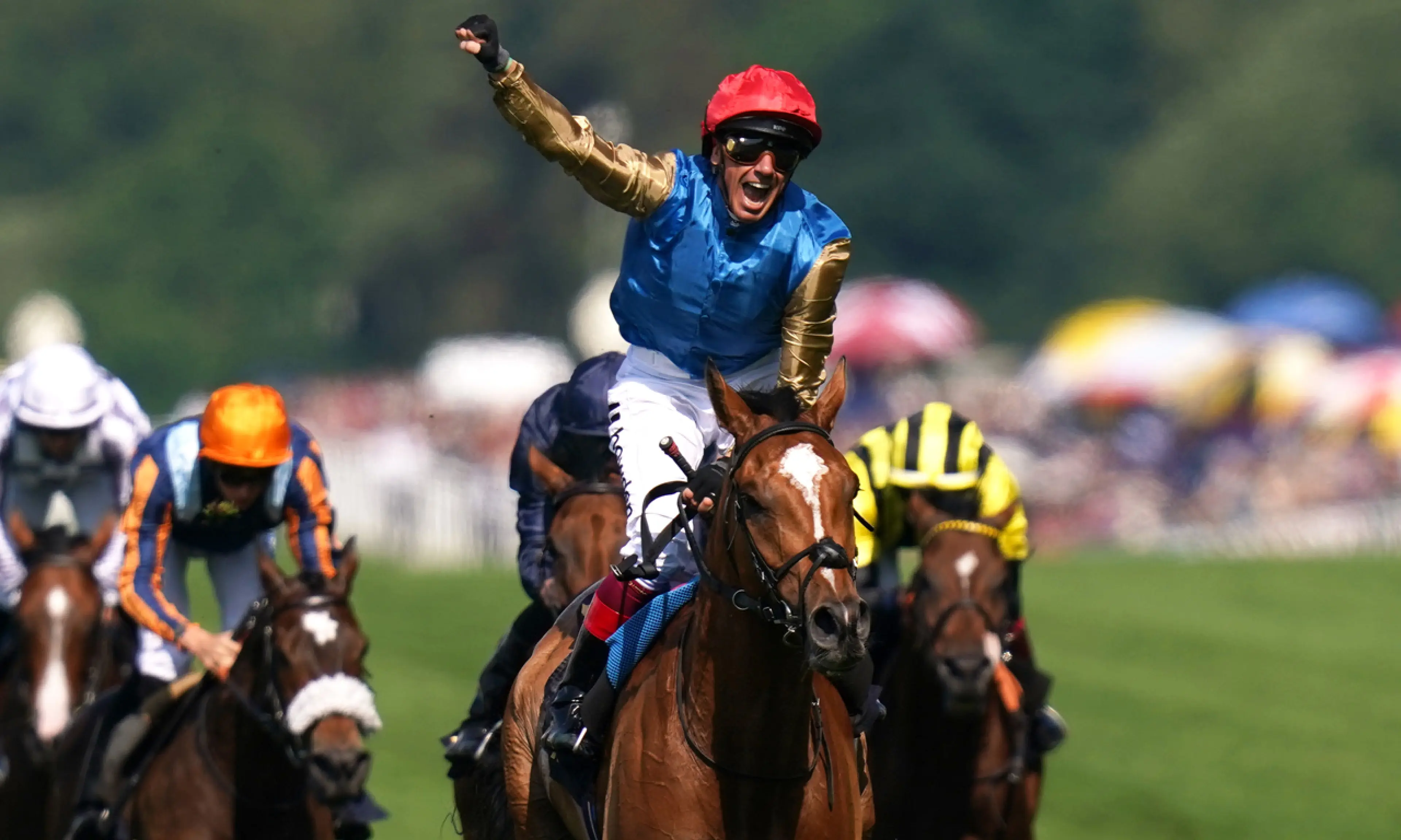 Goodwood Cup 2023, Courage Mon Ami, horse racing