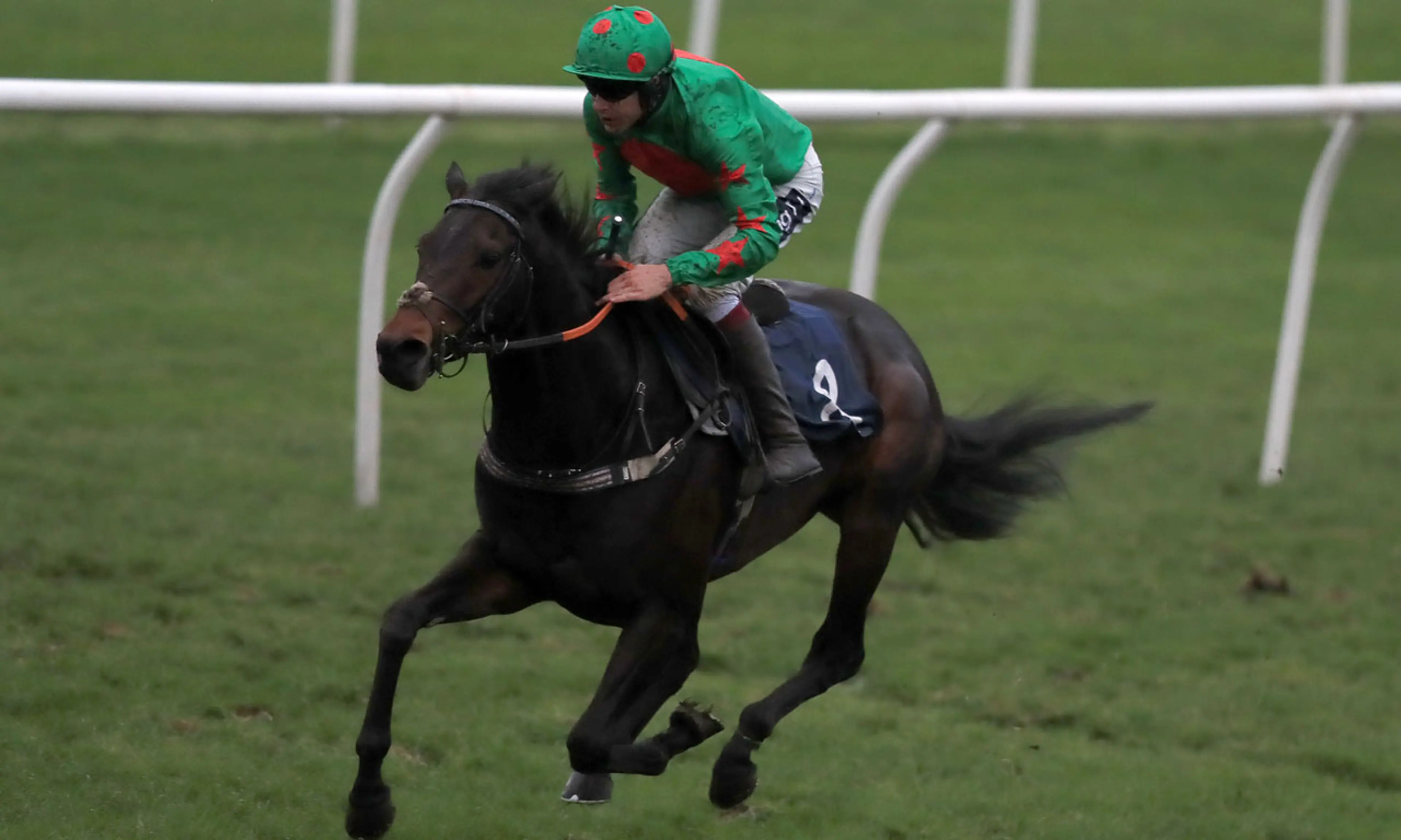 Ocean Wind, Glorious Goodwood, horse racing