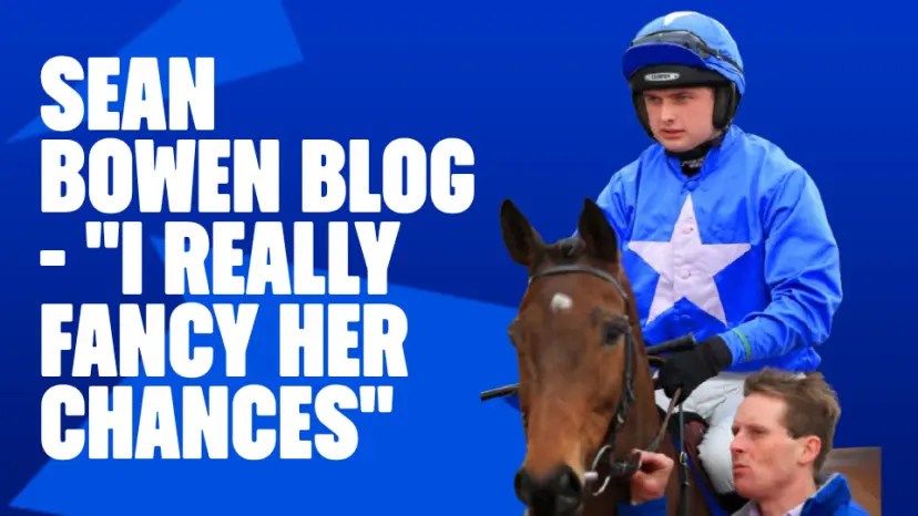 Sean Bowen blog
