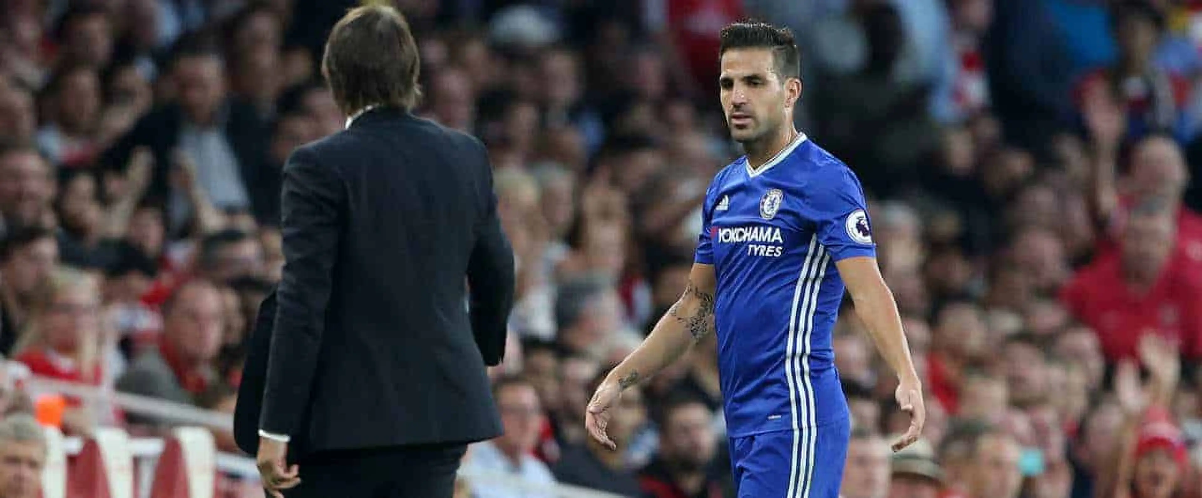 Man City chase Fabregas