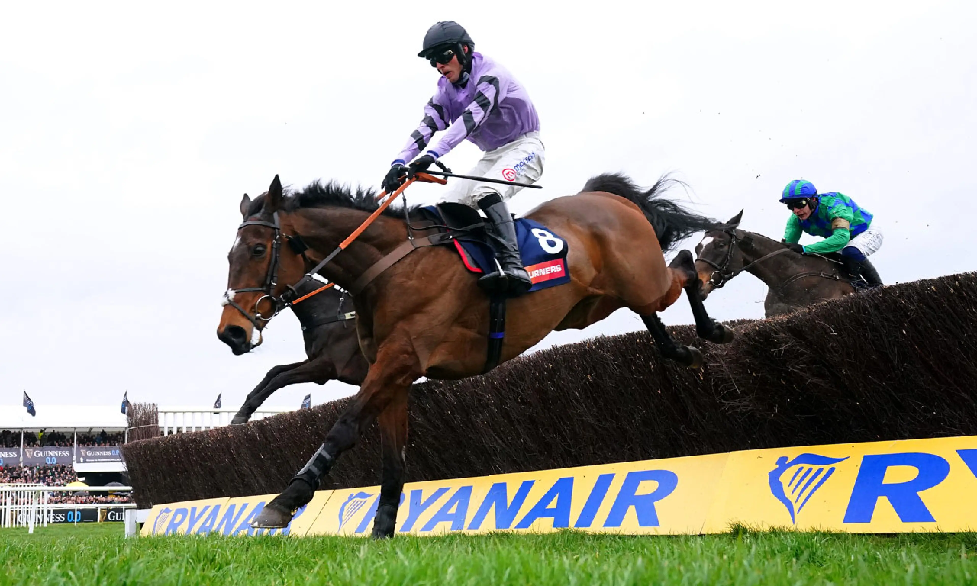 Stage Star, Paddy Power Gold Cup betting, horse racing