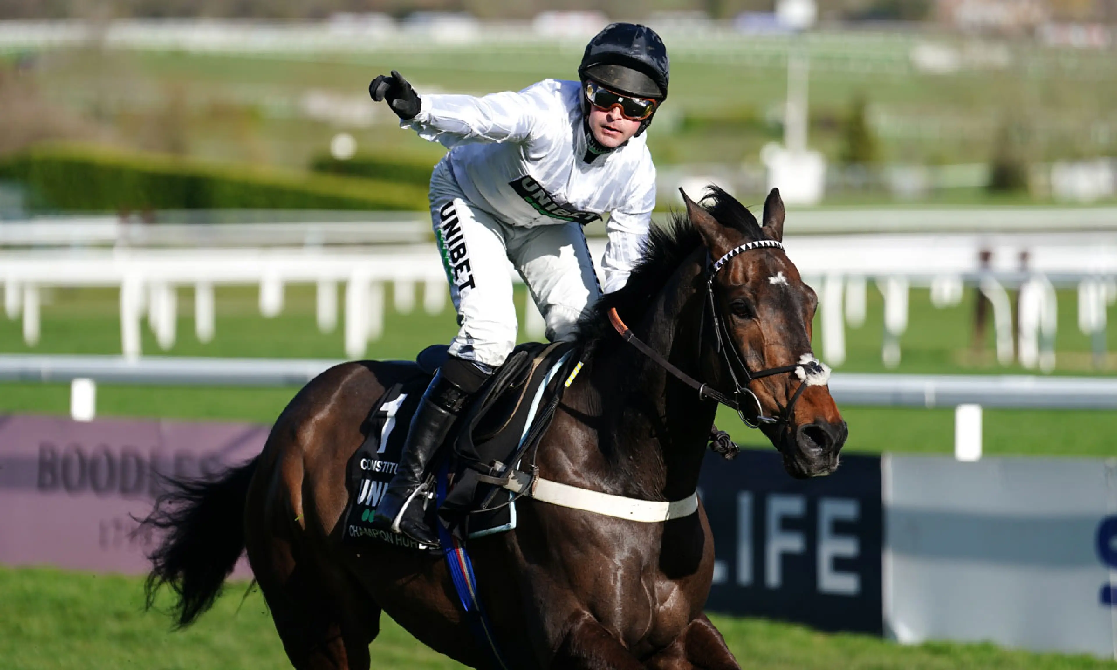 Constitution Hill betting, Cheltenham Festival, horse racing