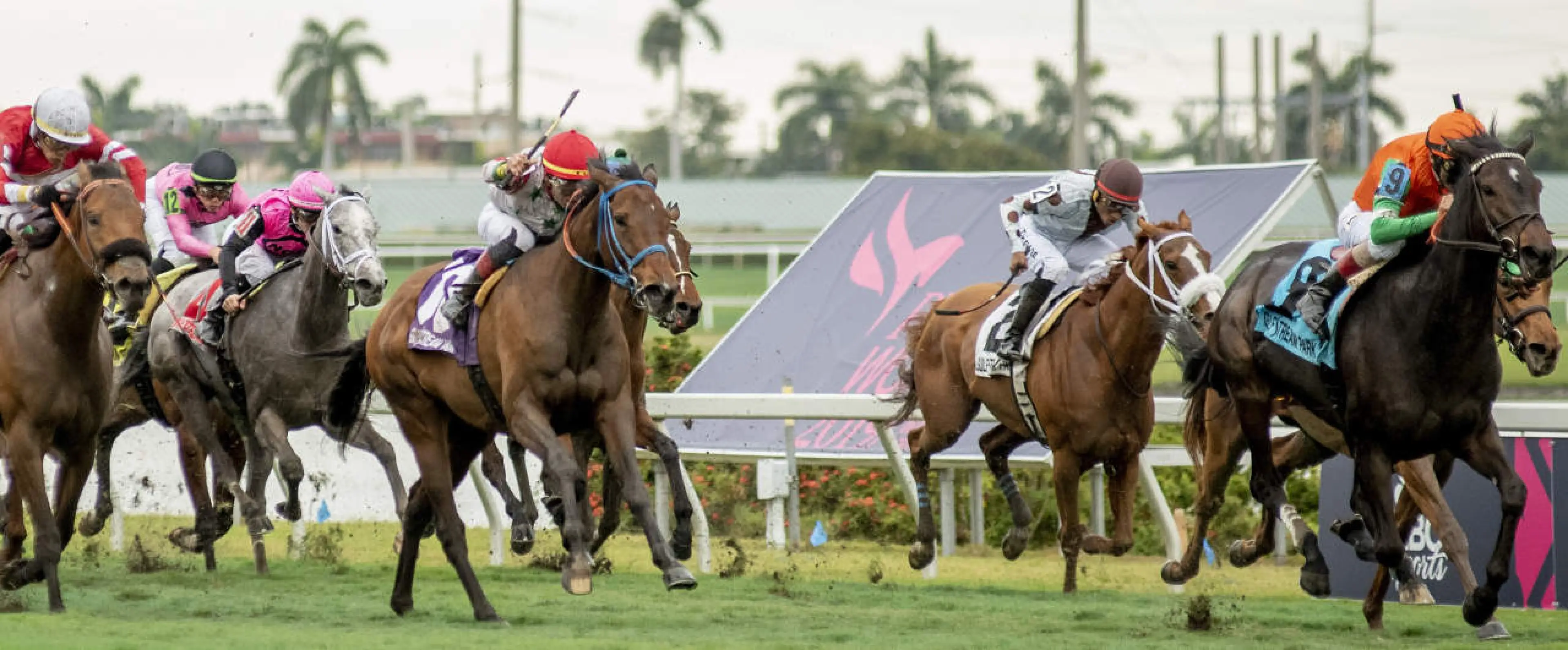 Horse Racing Gulfstream Park