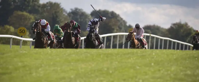 Punchestown tips for Saturday.